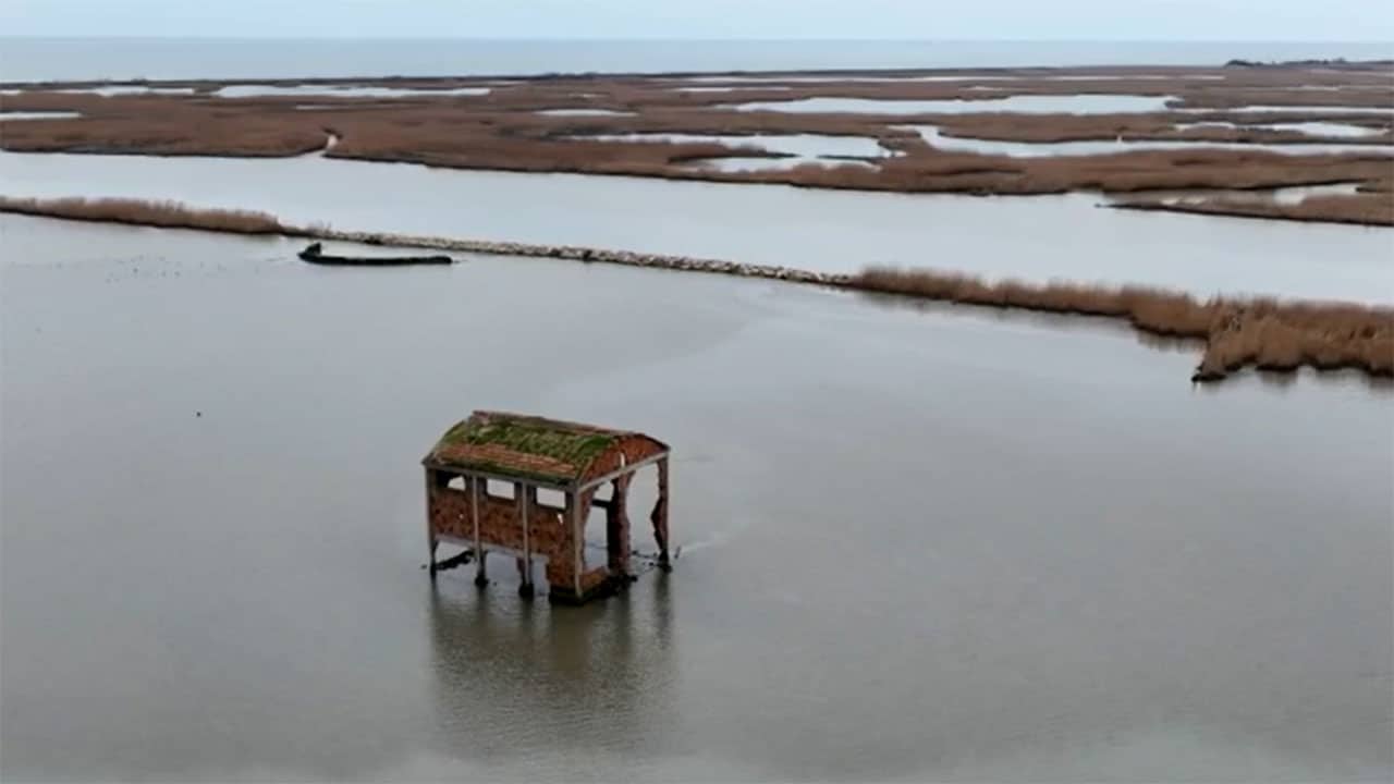 Di là dal fiume e tra gli alberi - S7E12 - Il Polesine, niente da vedere?