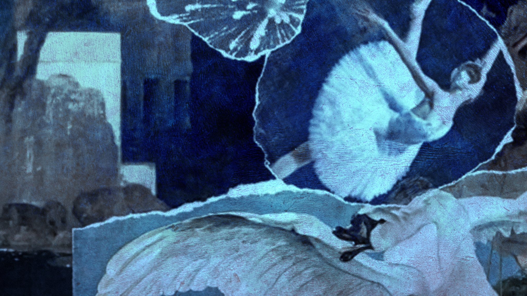 Il lago dei cigni (2024)