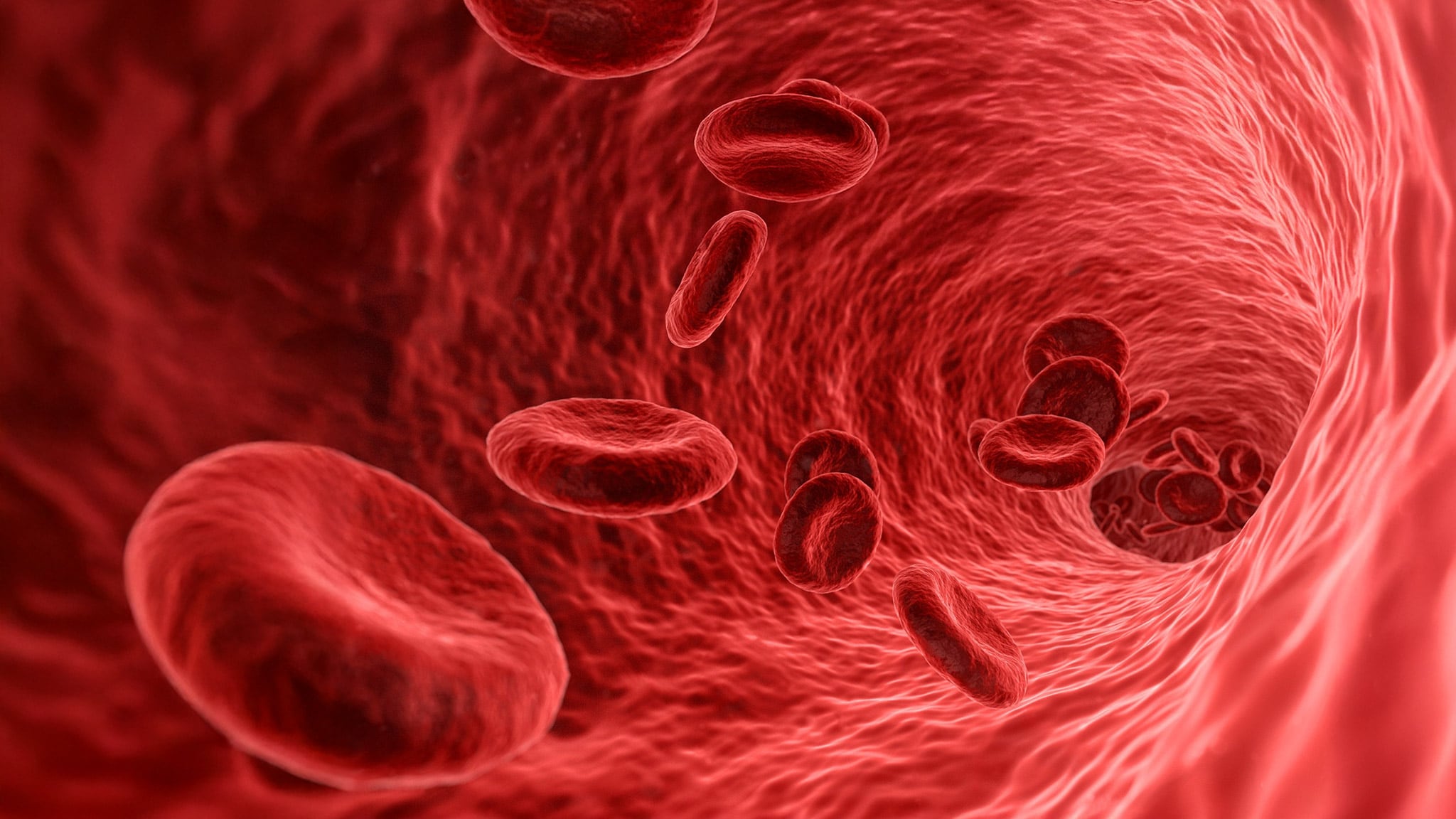 Il meraviglioso mondo del sangue