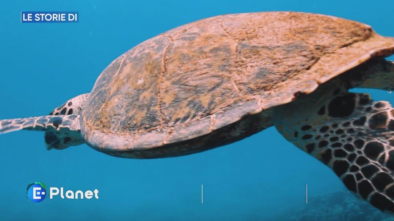 S1 Ep23 - E-Planet