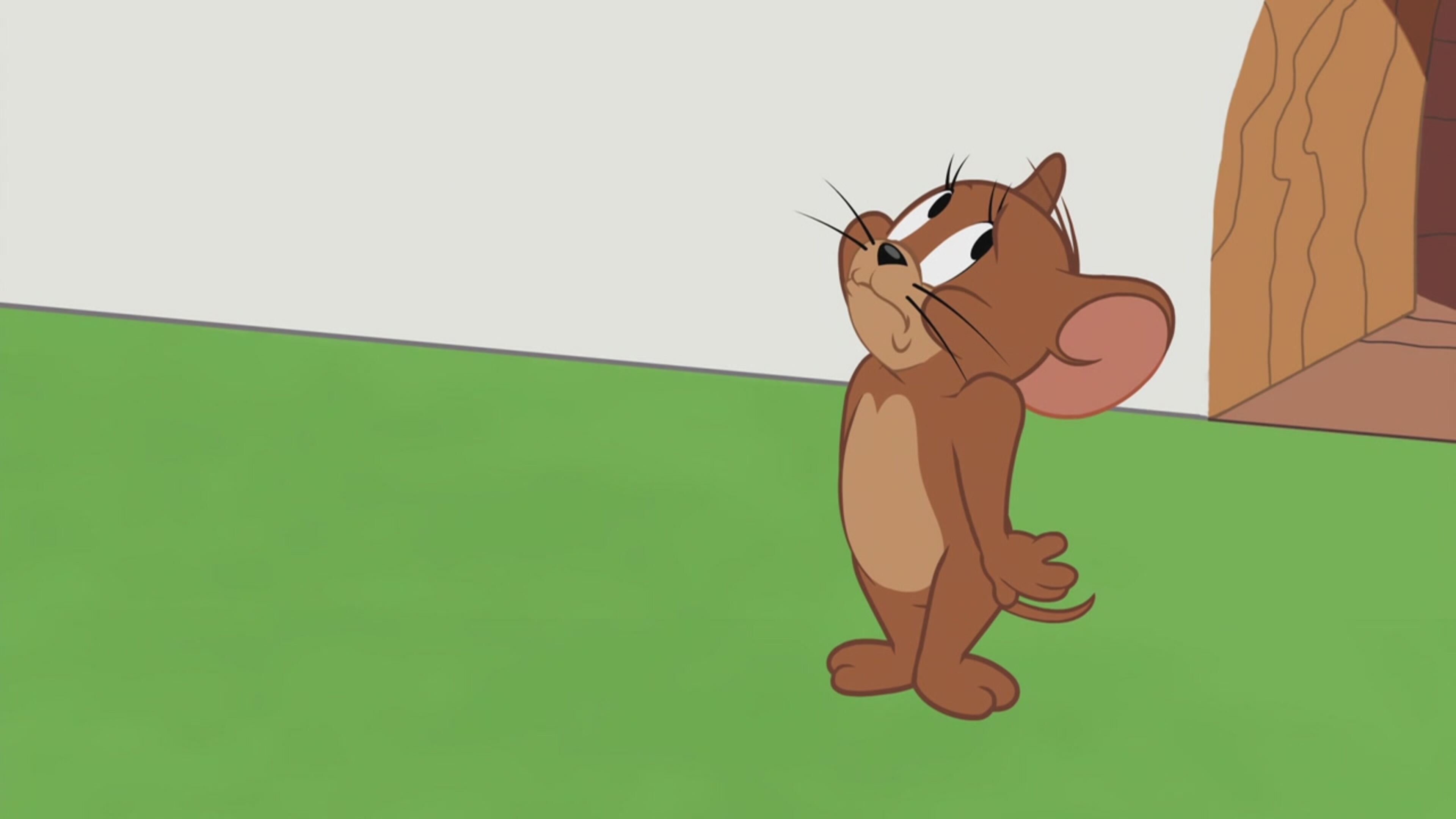 The Tom  Jerry Show - S1 Ep1