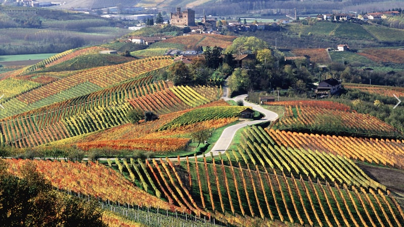 Viaggio in Italia: Toscana -Le tamerici salmastre ed arse