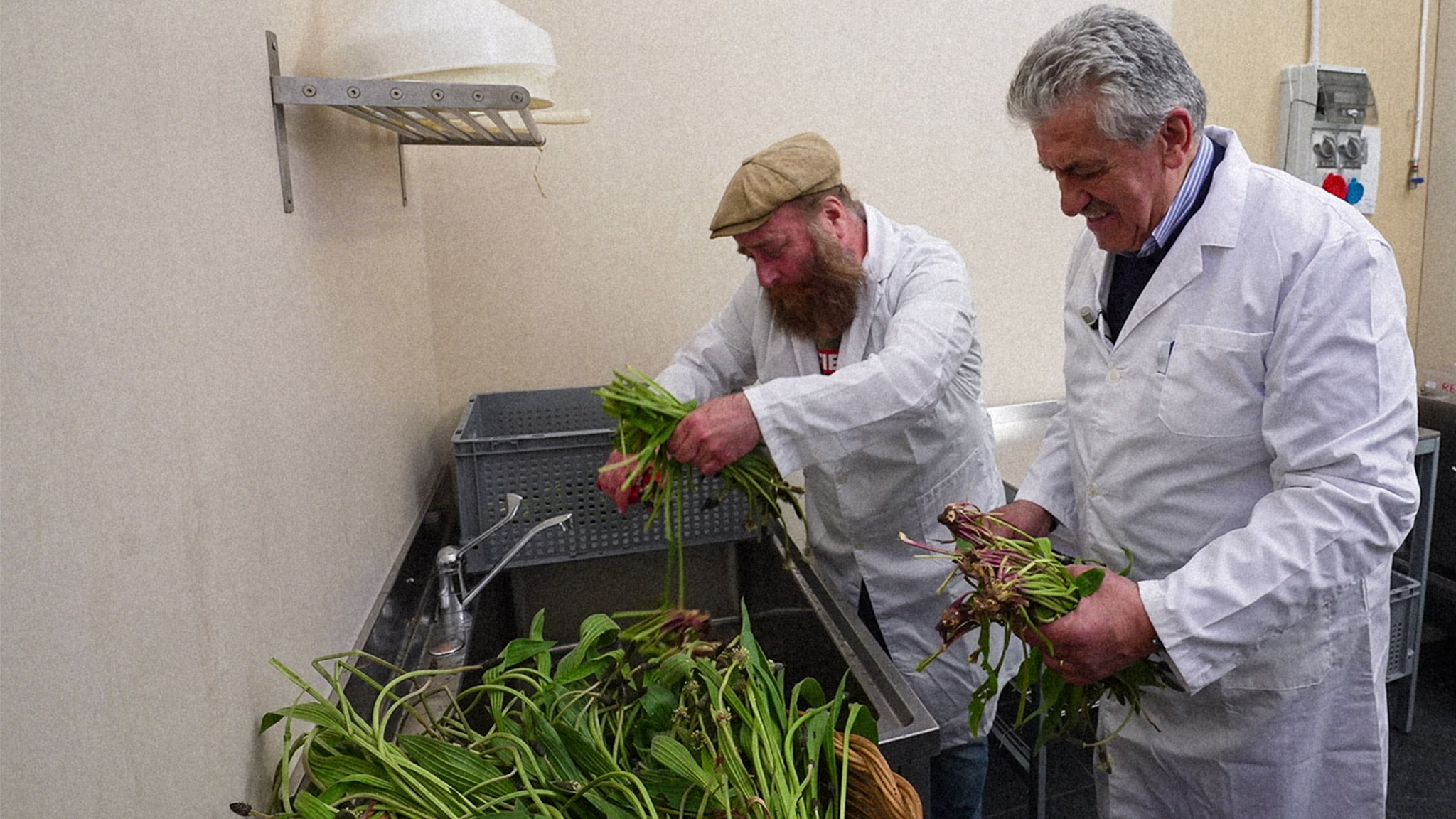 I mestieri di Mirko - I segreti delle erbe - pt19