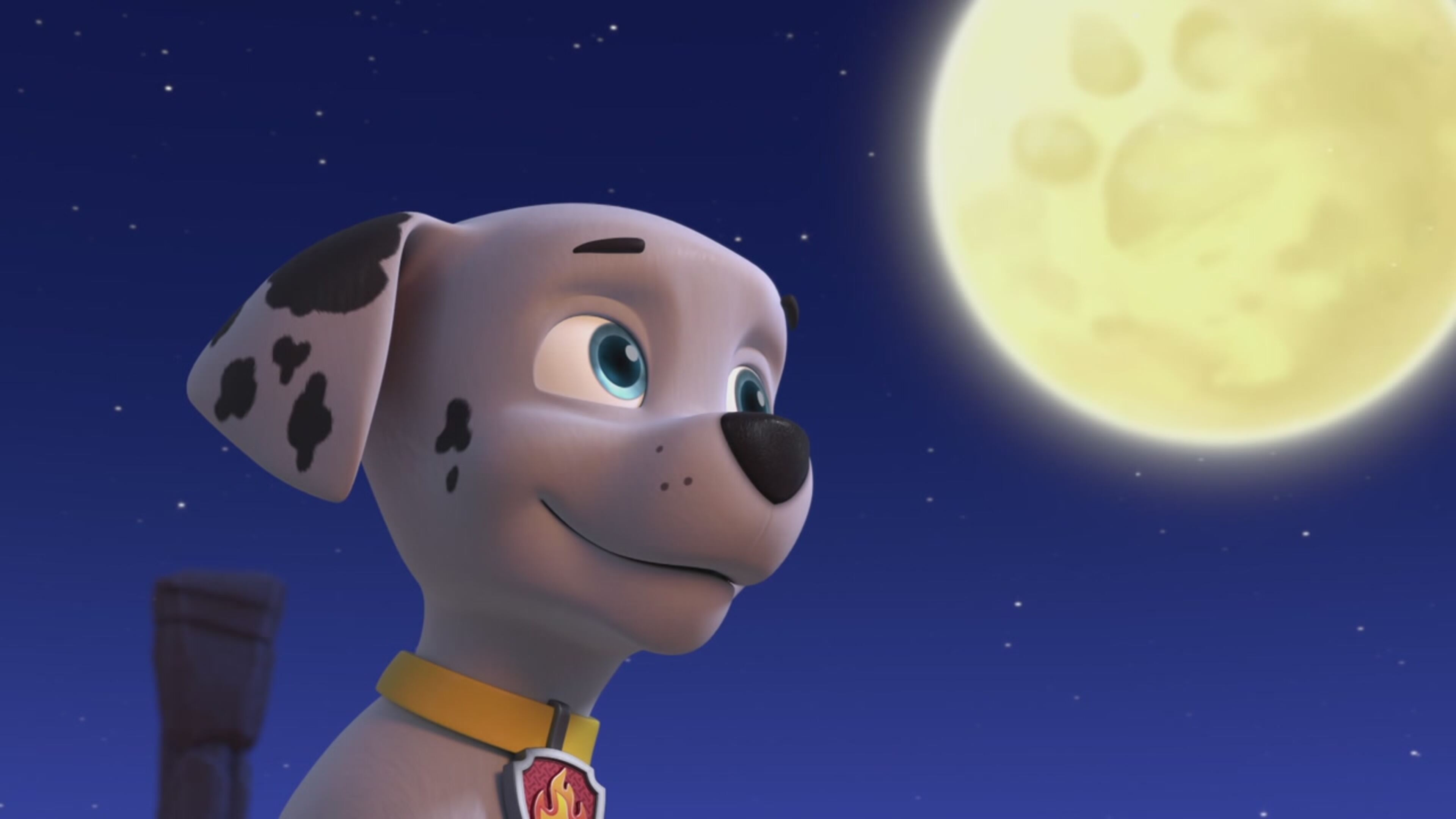 Paw Patrol - S8 Ep.7 - I cuccioli salvano gli elefanti / I cuccioli salvano un cantante di Yodel