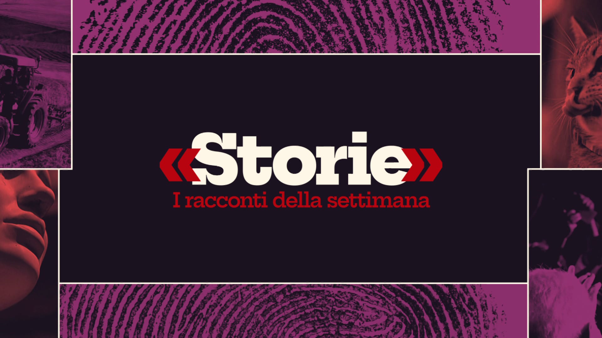 TG2 Storie - I racconti della settimana - Puntata del 22/11/2025