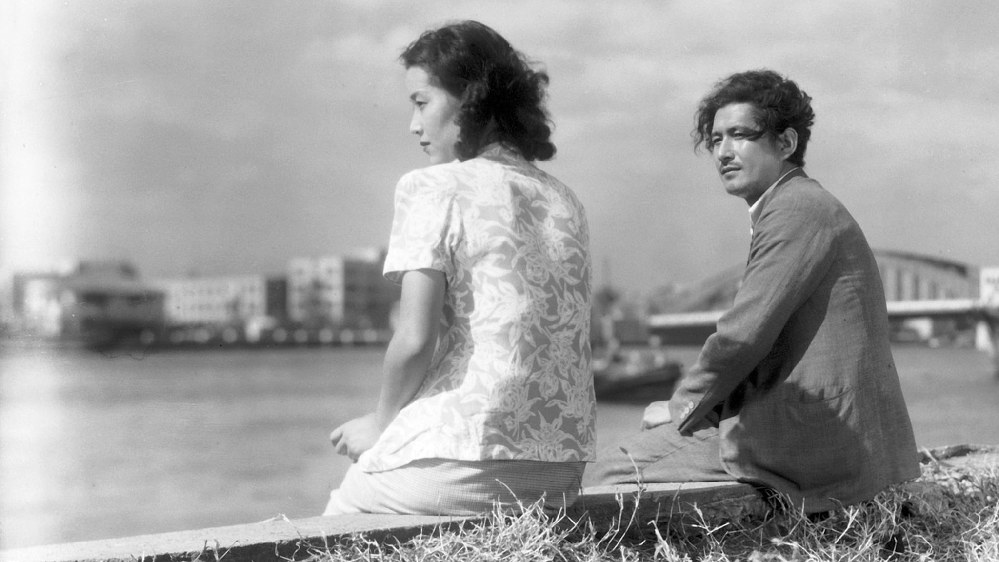 Una gallina nel vento