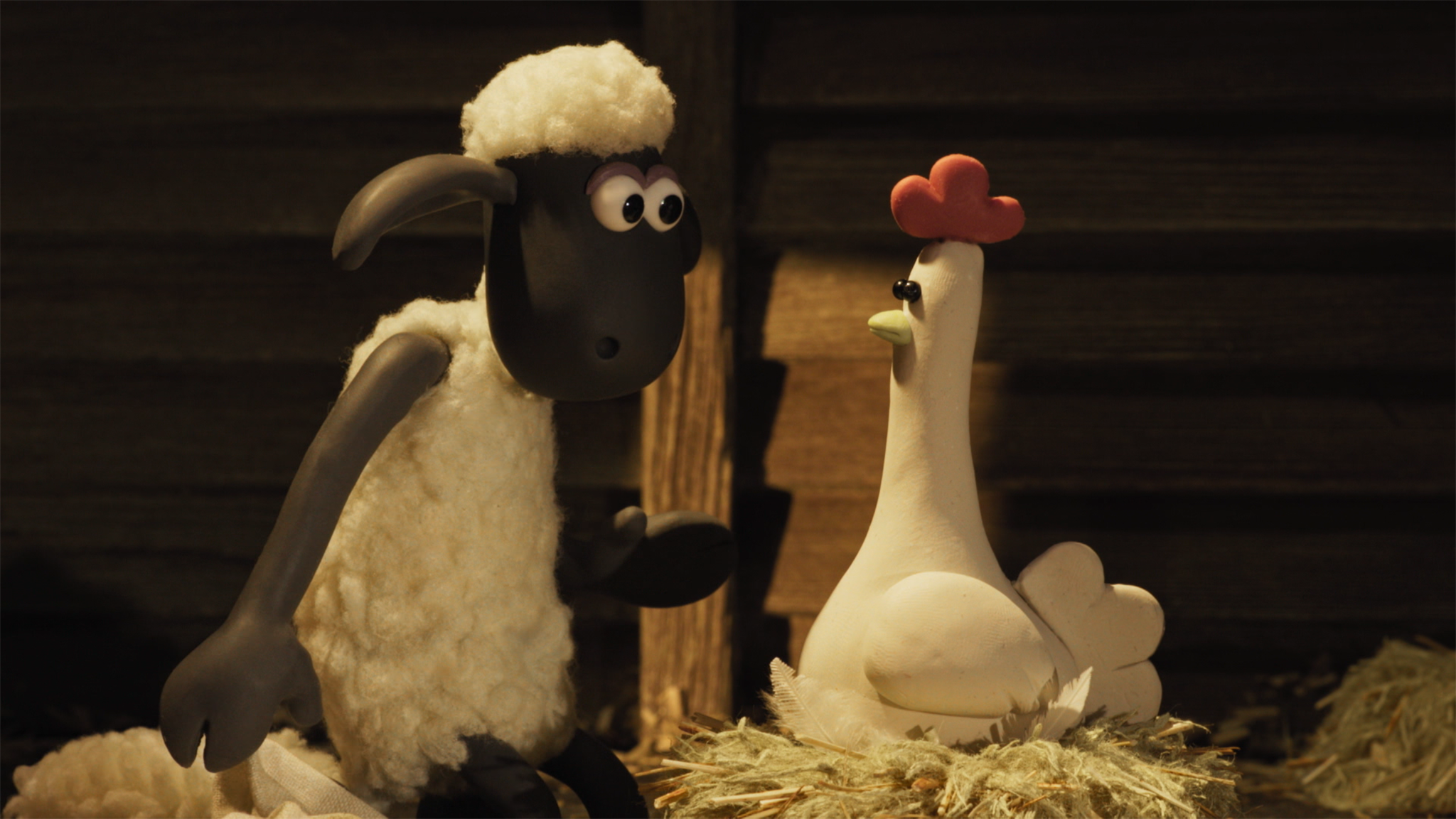 Shaun vita da pecora - S7E19 - Il pollo fantasma