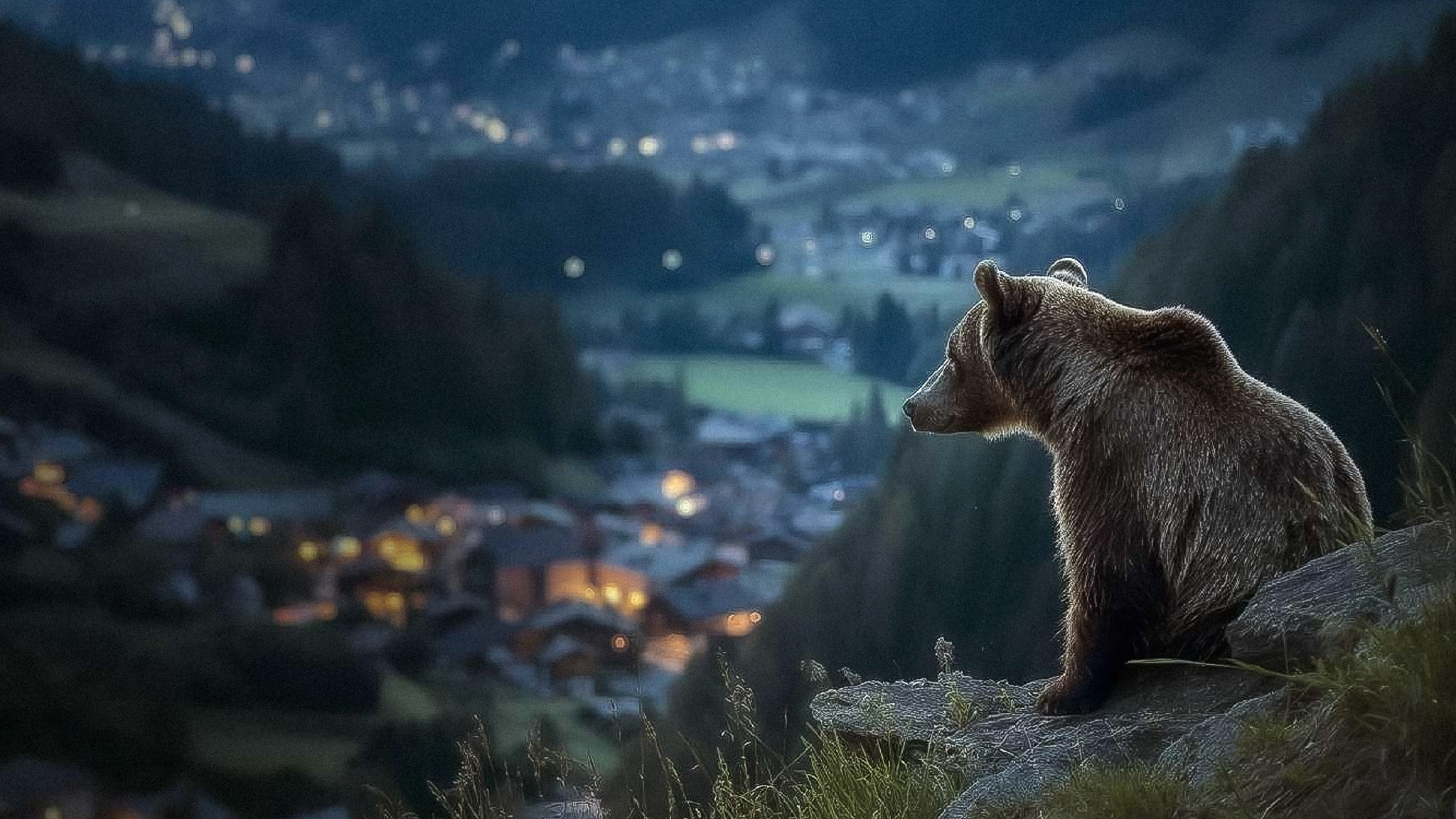 Pericolosamente vicini - Vivere con gli orsi