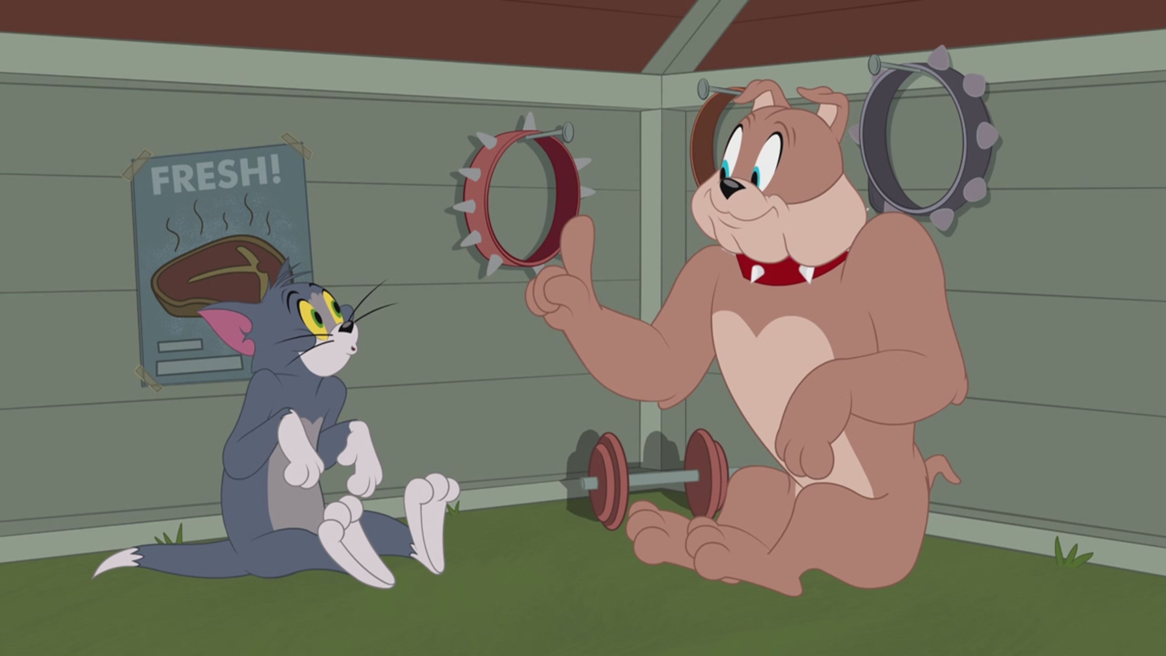 Tom  Jerry Show - S3 Ep.18 - La vaschetta per volatili