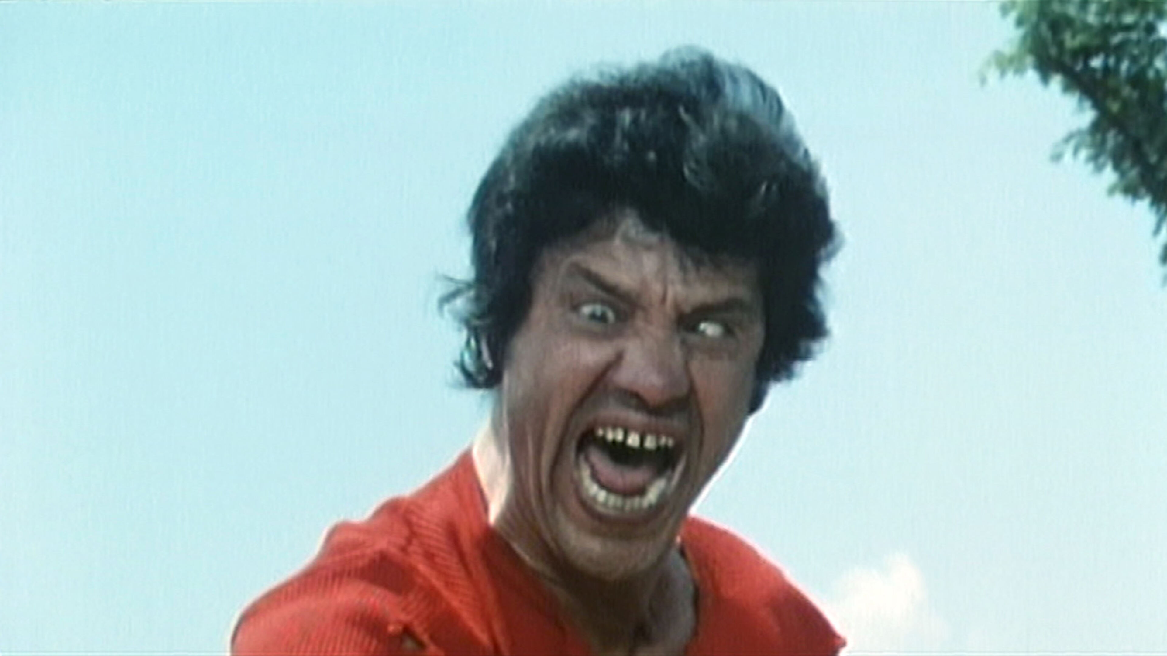 Ku fu? Dalla Sicilia con furore