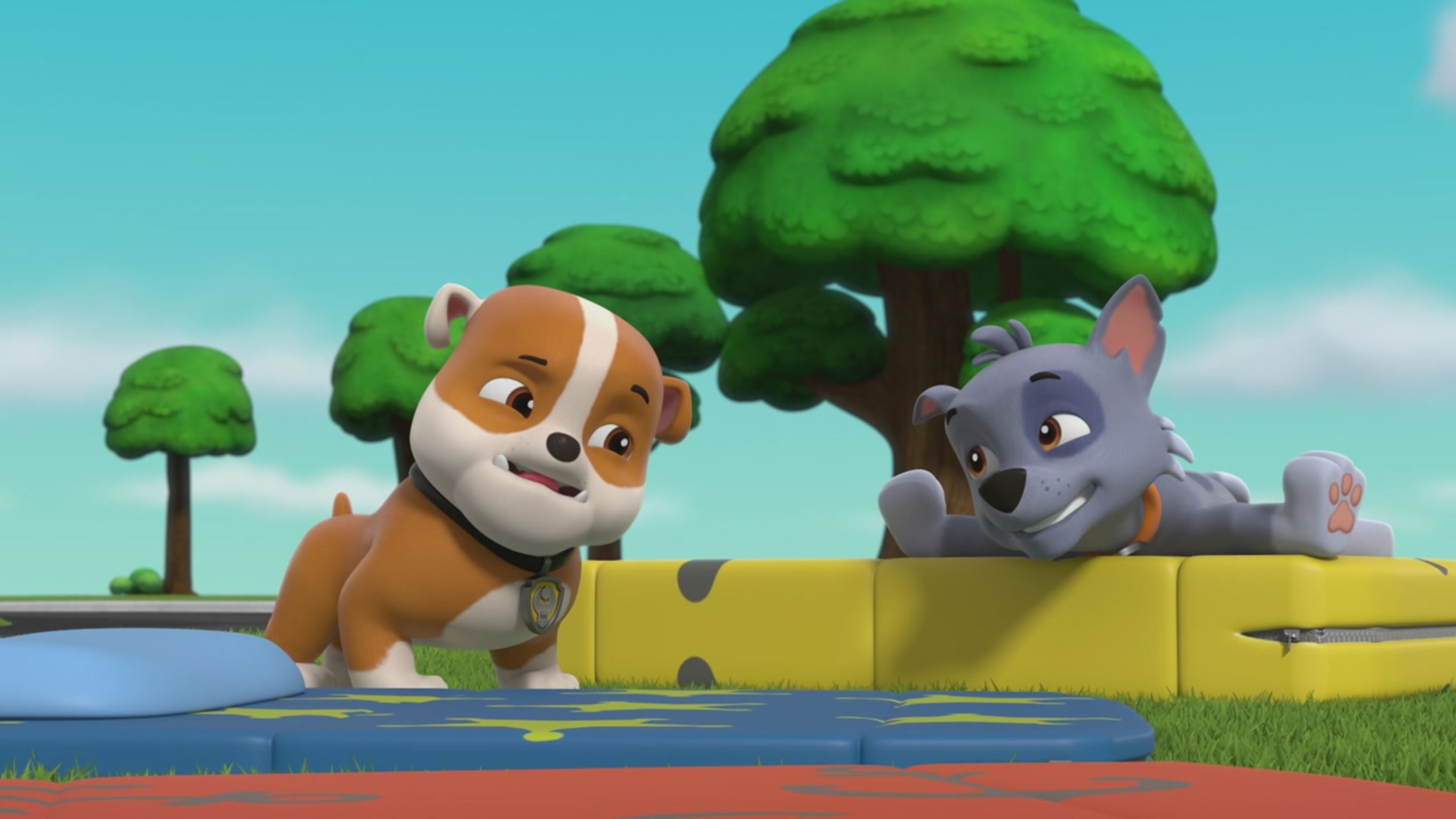 Paw Patrol - S10 Ep.18 - I cuccioli salvano la Flounder scomparsa/I cuccioli salvano il piccolo nonno e il signor Alex