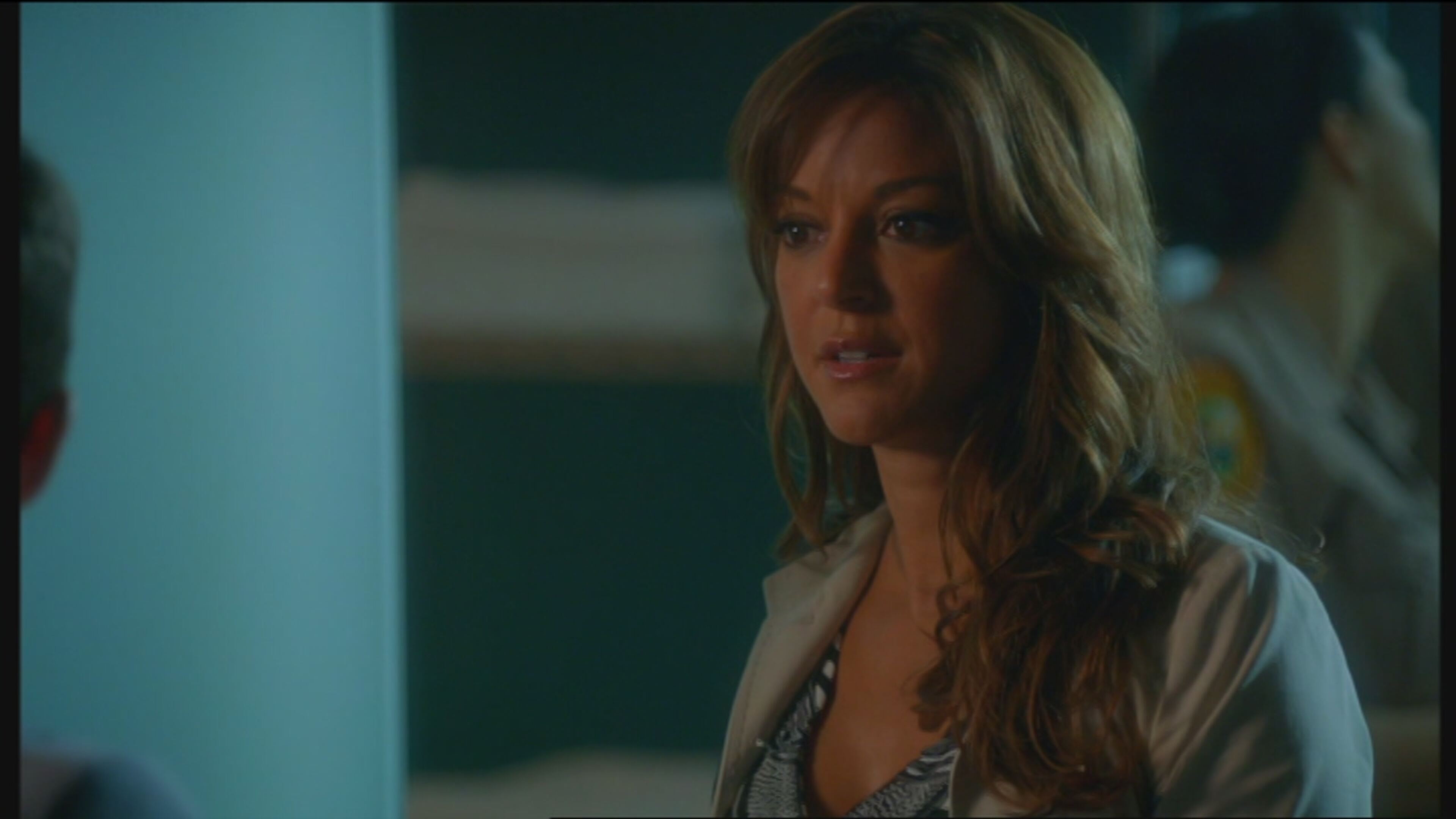 C.S.I. Miami - S10 In pericolo