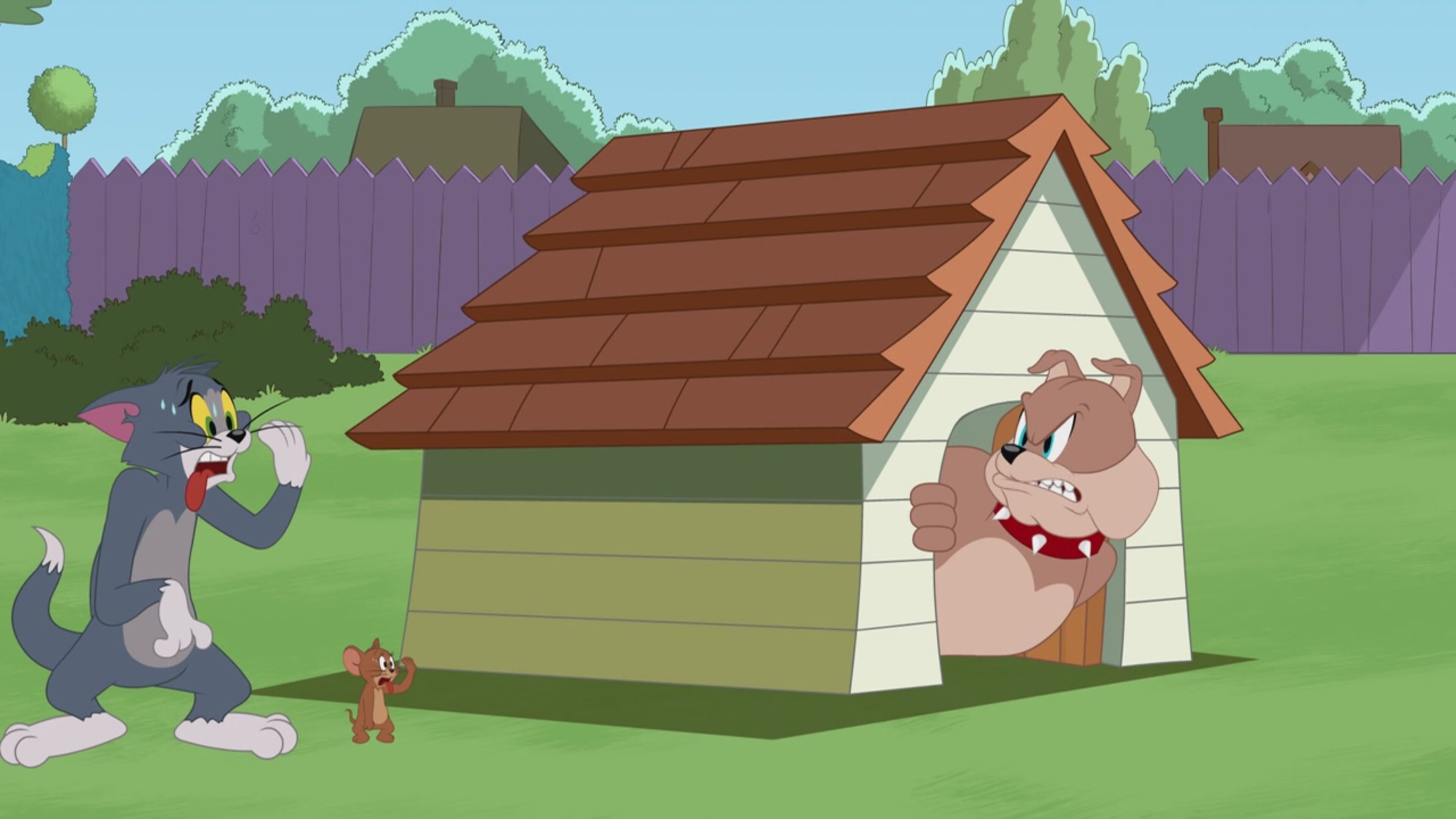 The Tom and Jerry Show - S3 Ep.37 - Piscina Party