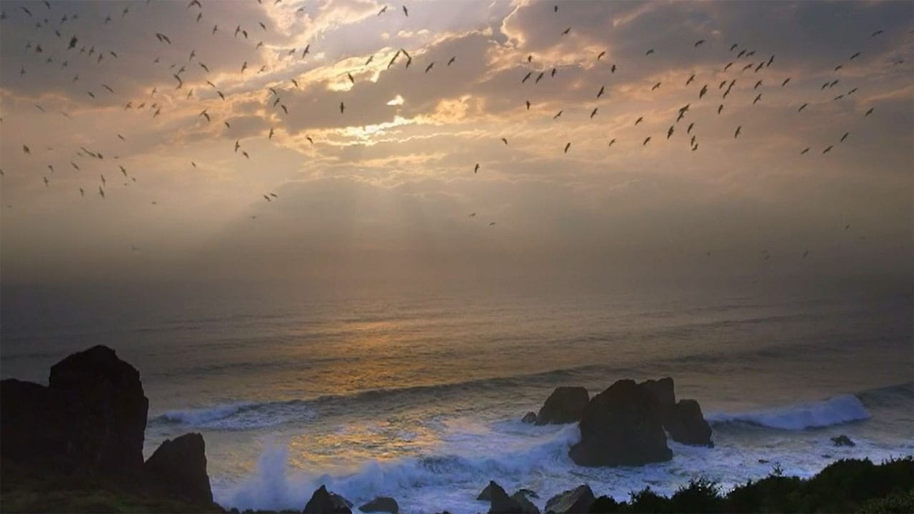 Messico selvaggio S1E1 - Un vero paradiso