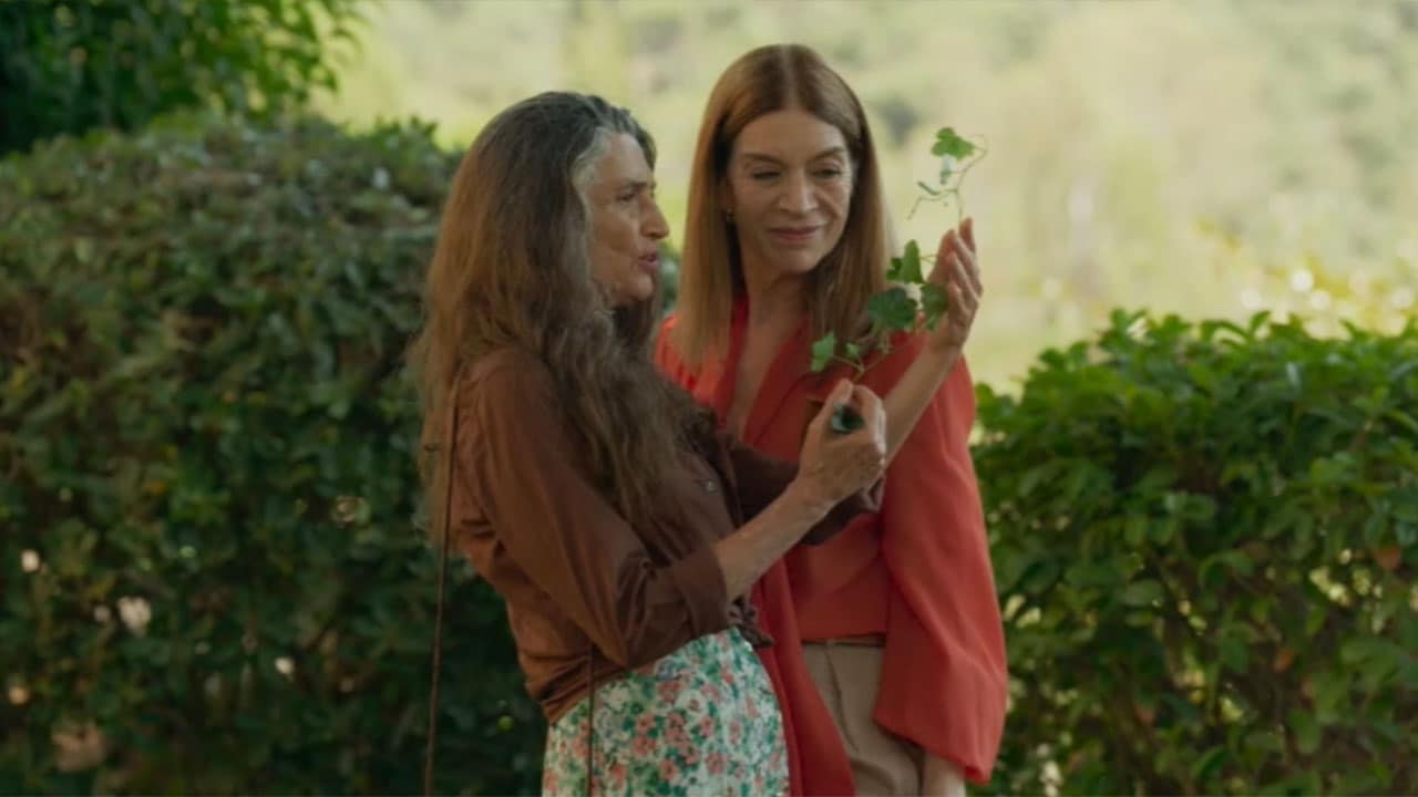 Ritorno a Las Sabinas - S1E49 - Episodio 49