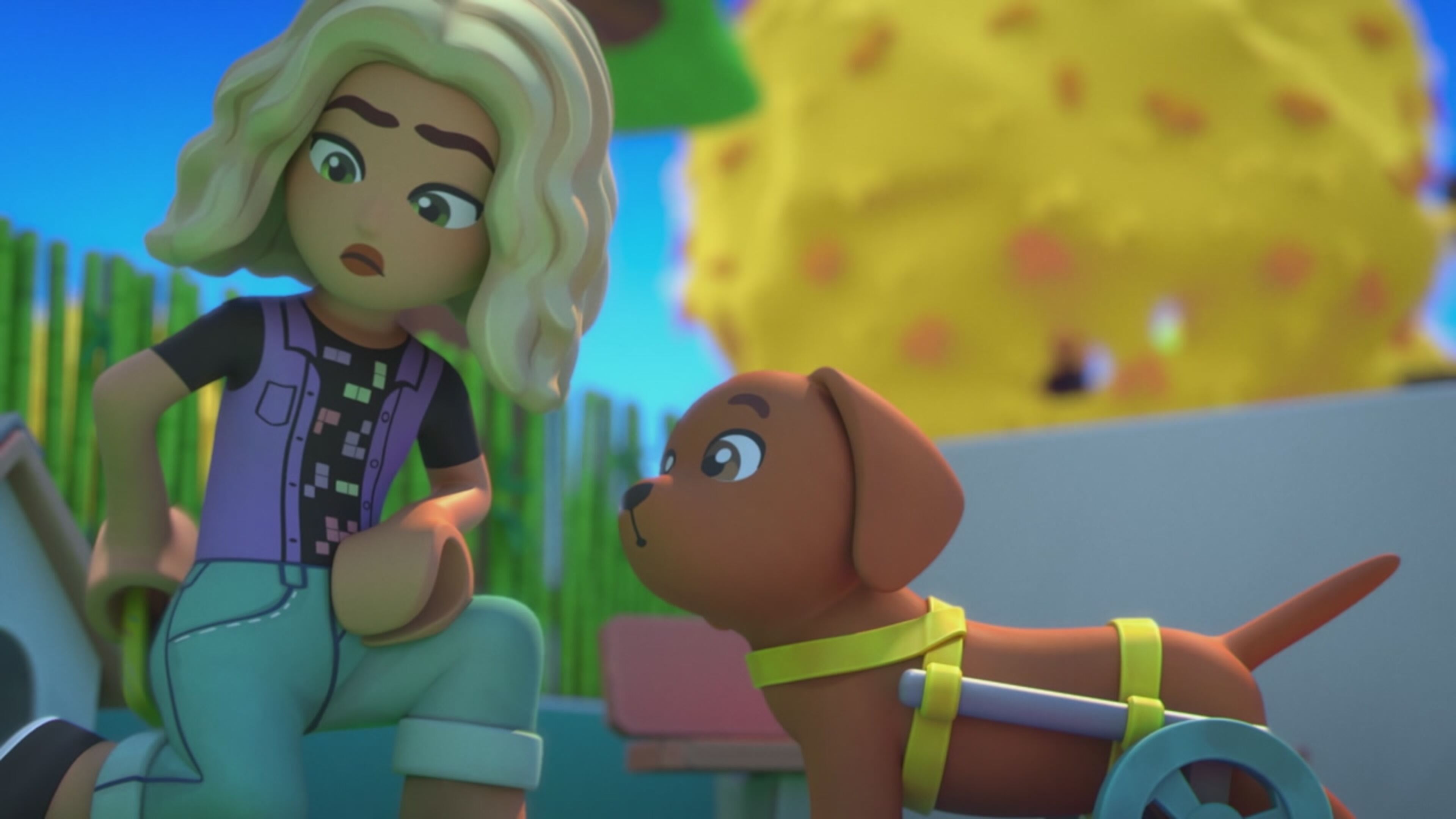 Friends - S3 Ep.4 - Il Pranzo Perfetto per Pickle