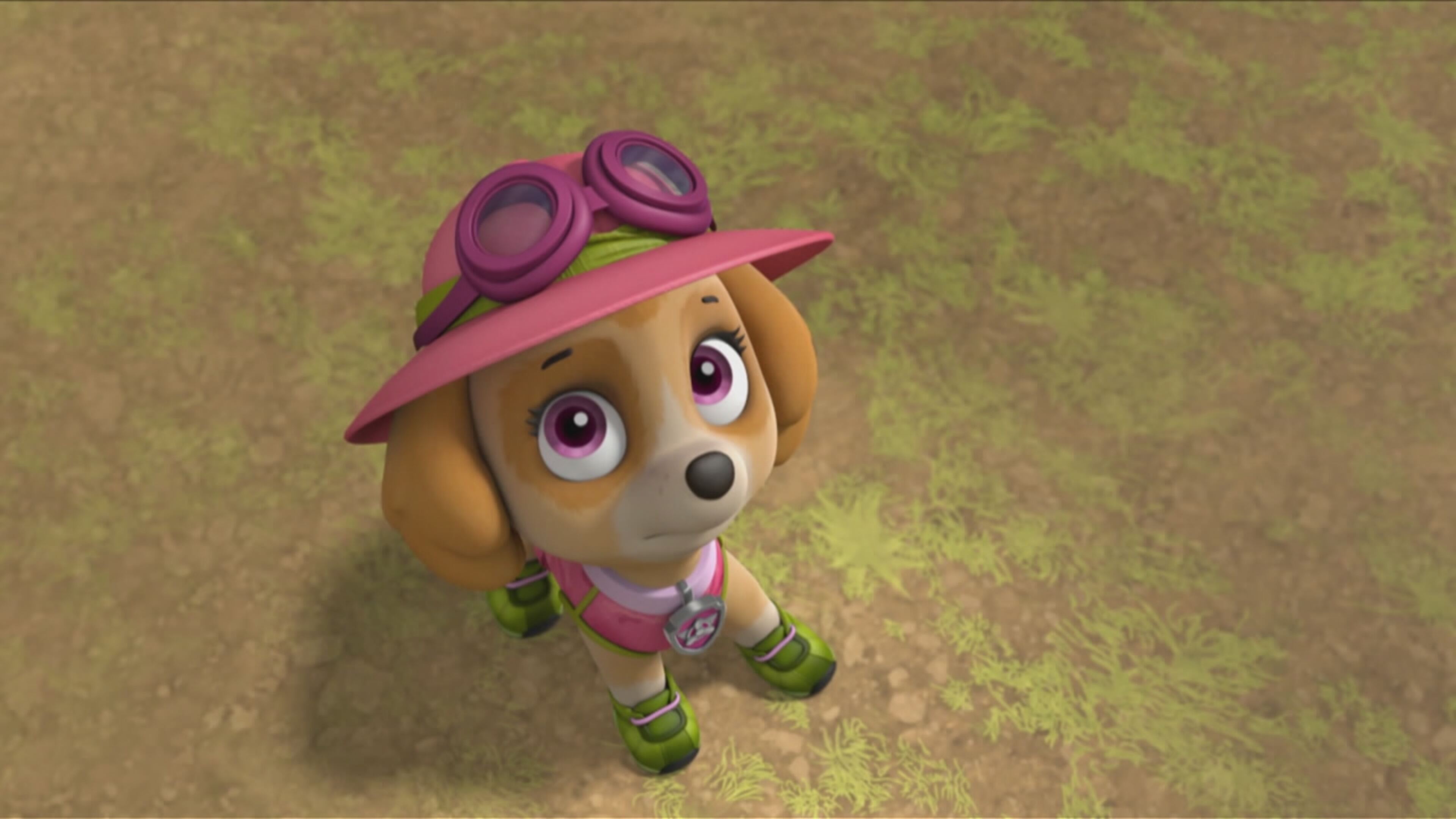 Paw Patrol - S6 Ep.6 - \"I cuccioli e le bolle puzzolenti/I cuccioli salvano i piccoli struzzi\"