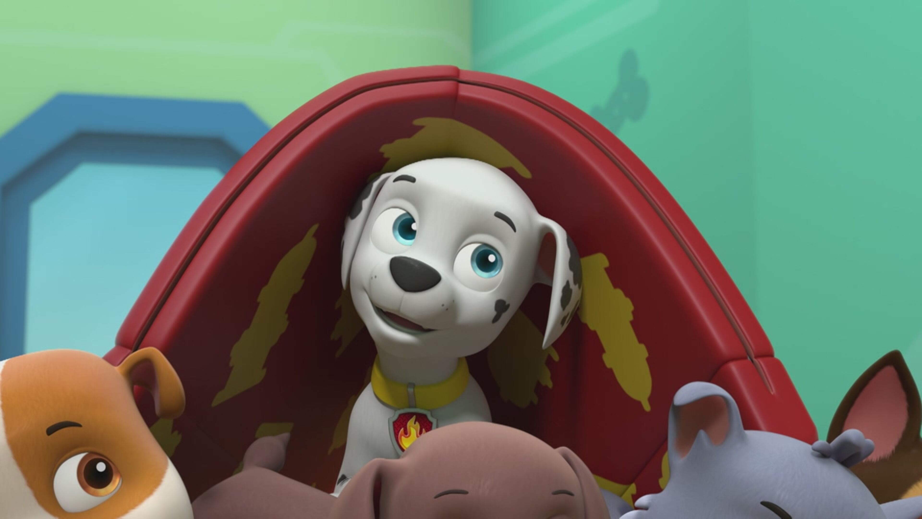 Paw Patrol - S11 Ep.2 - Rescue Wheels: I cuccioli salvano una corsa rischiosa / Rescue Wheels: I cuccioli salvano il monster truck in fuga!