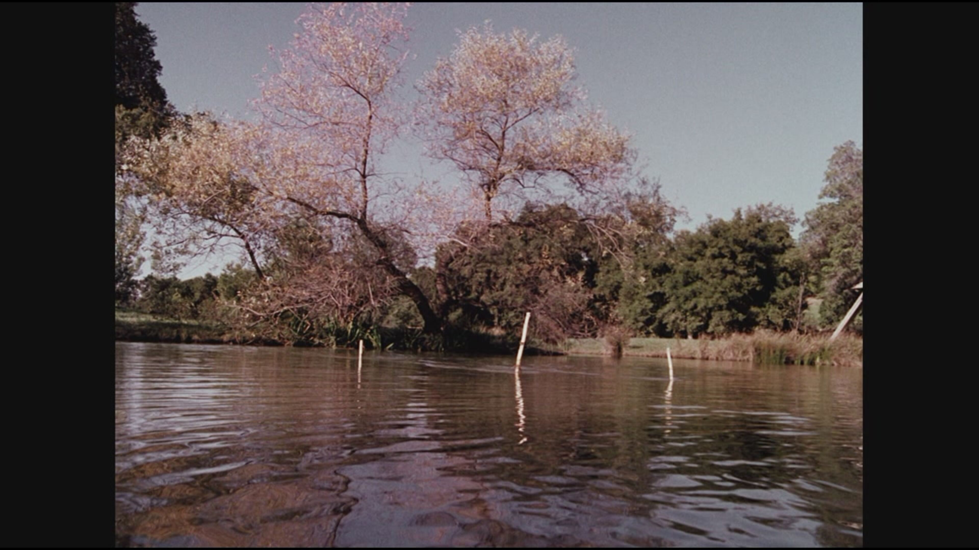 La casa nella prateria - Il mostro del lago Kezia