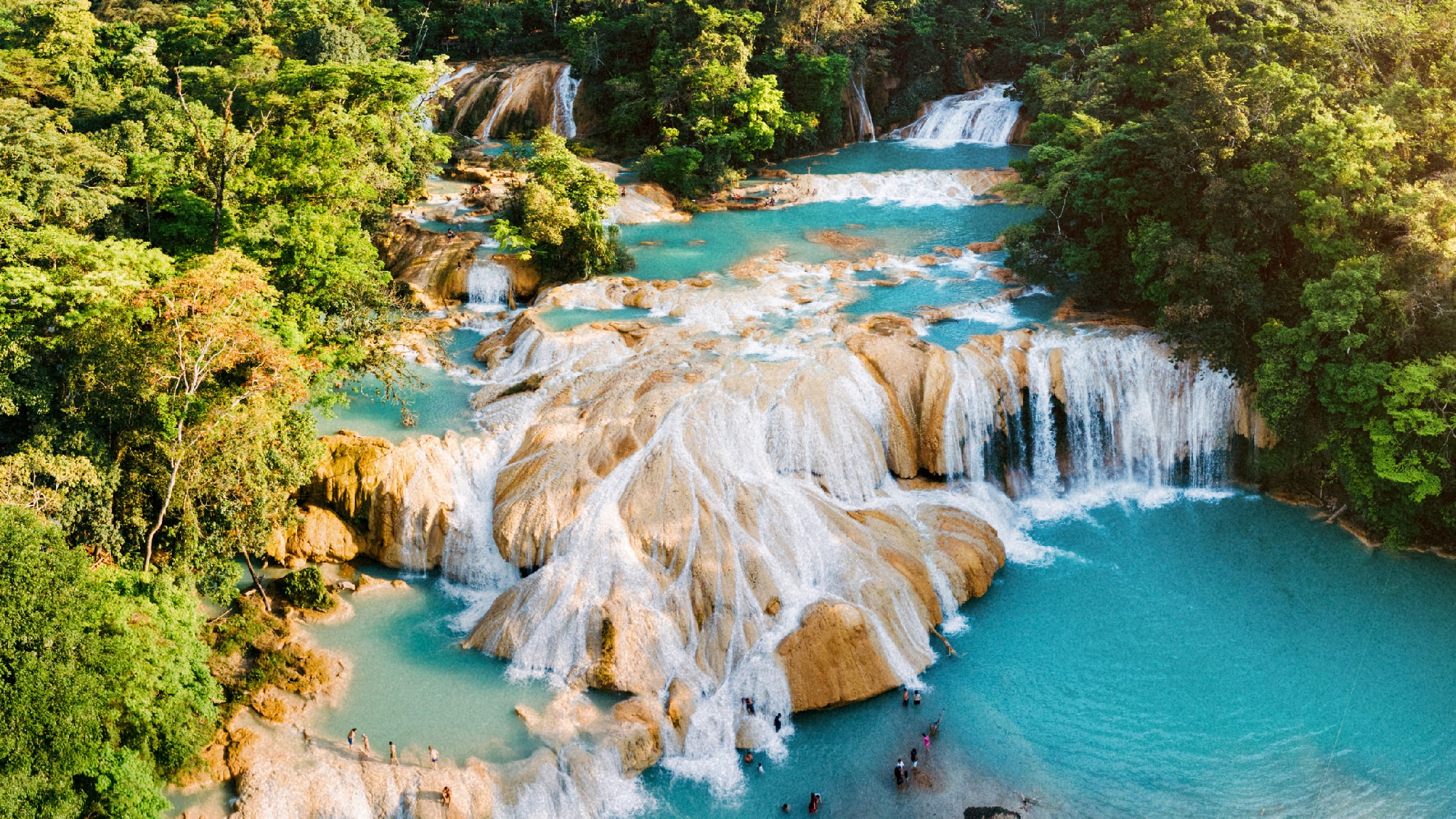 Messico selvaggio Lotta per il dominio E
