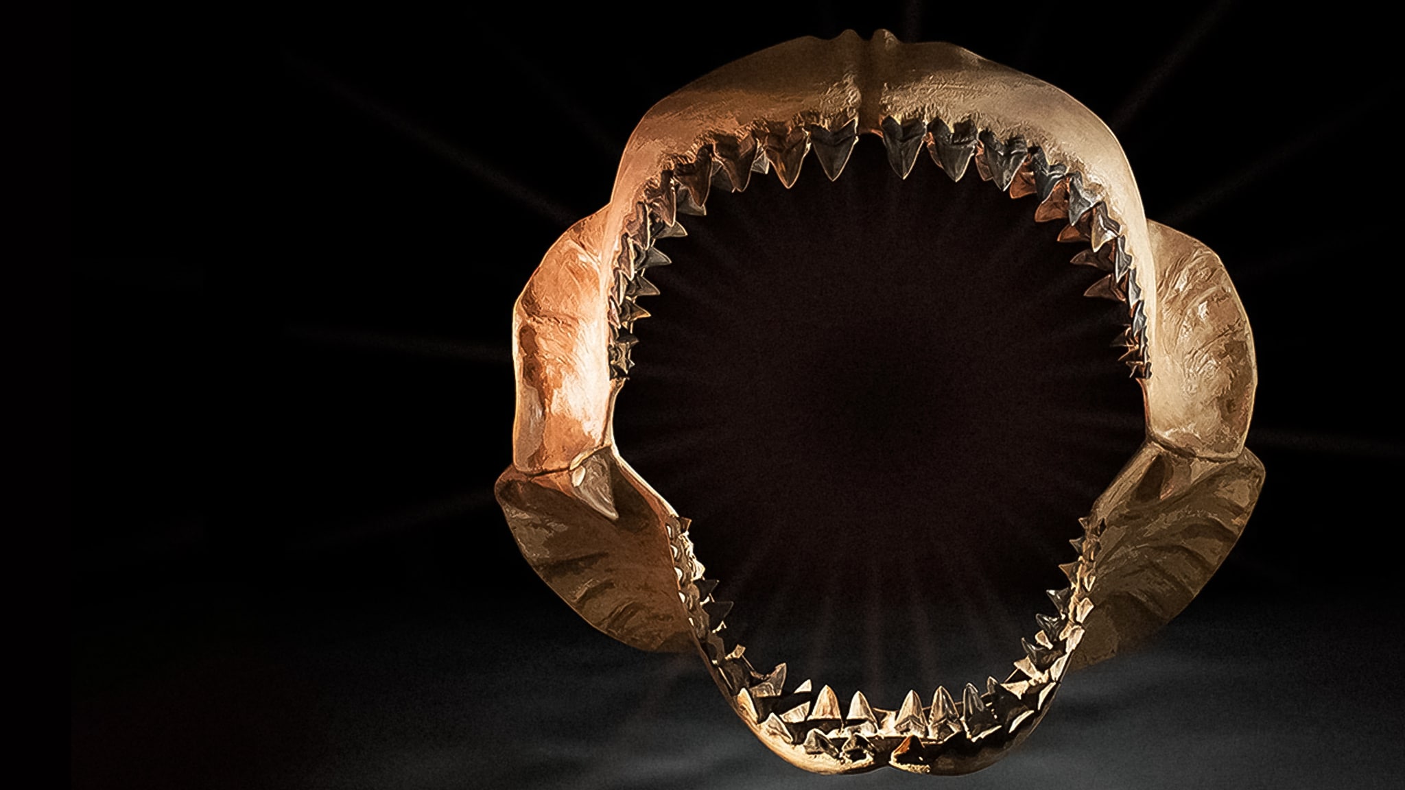 Le creature più grandi del mondo ep . 1