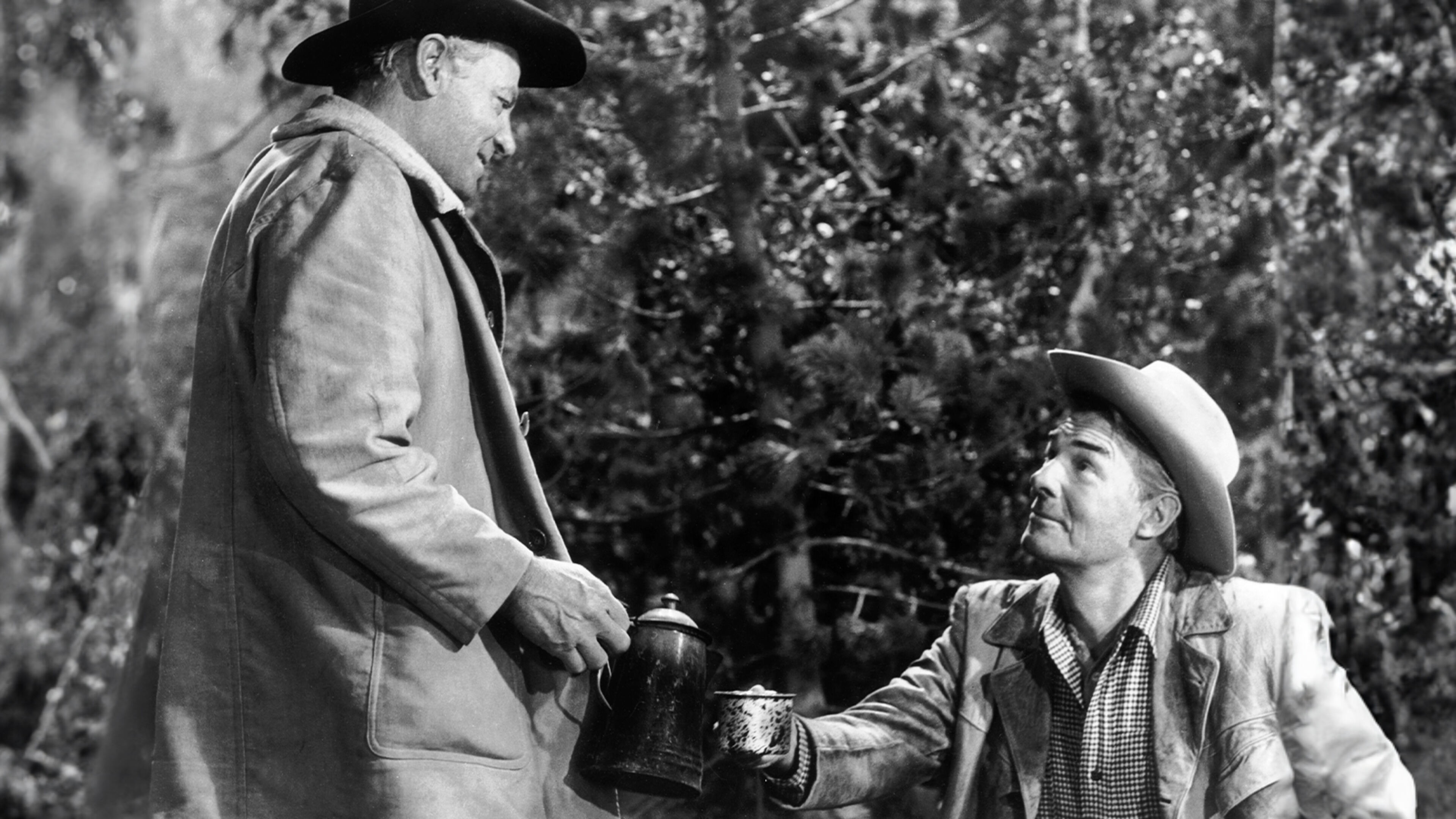 Sfida nell'alta Sierra