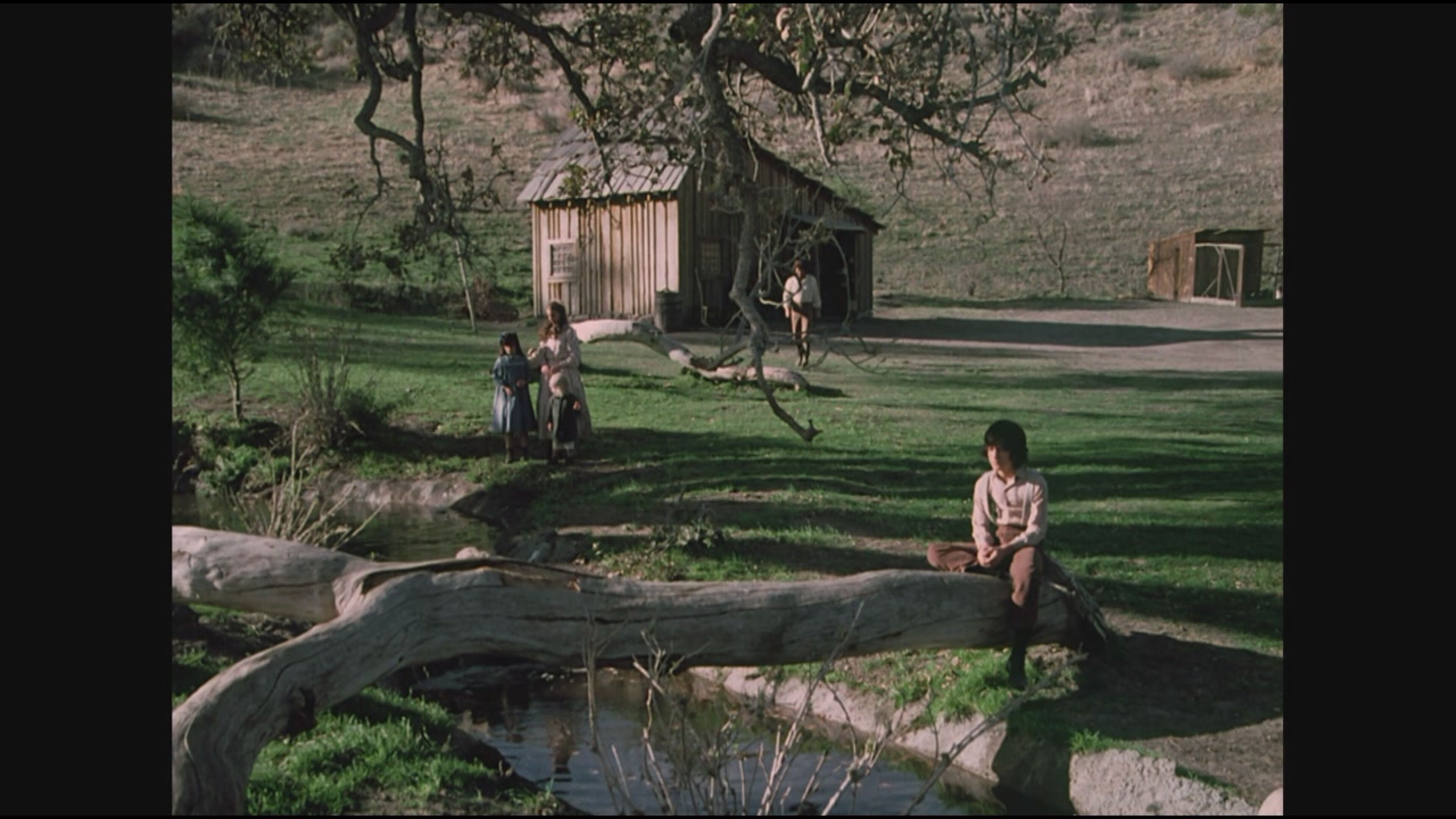 La casa nella prateria - La vita continua - I parte