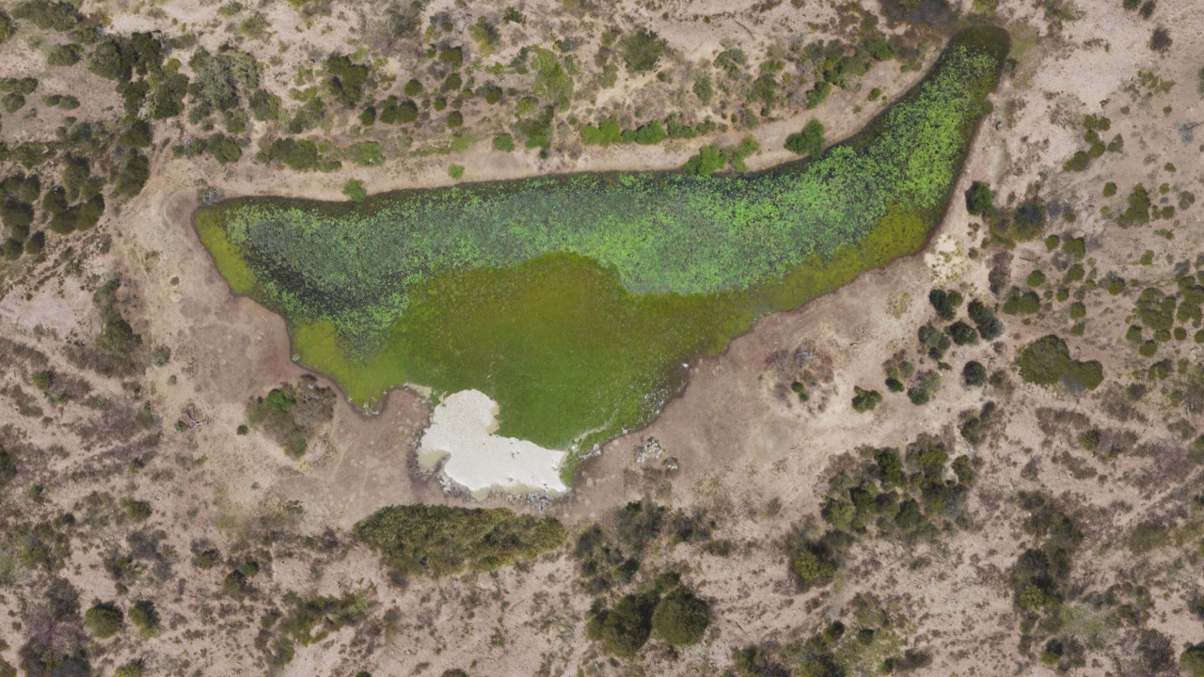 Planet Earth III - Le meraviglie della natura - S3 Ep4 Acque dolci