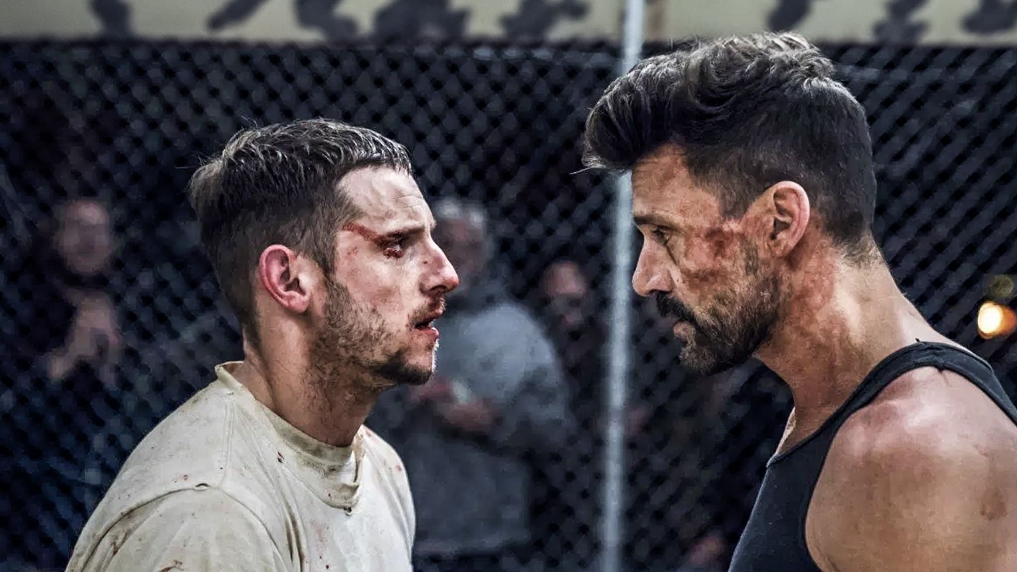 Donnybrook - Il combattente