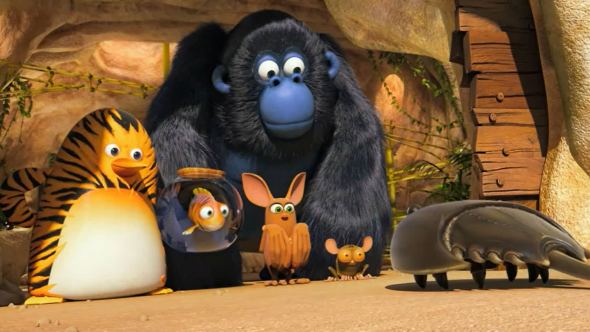 Vita da giungla alla riscossa! - S3E50 - Pirati del corallo