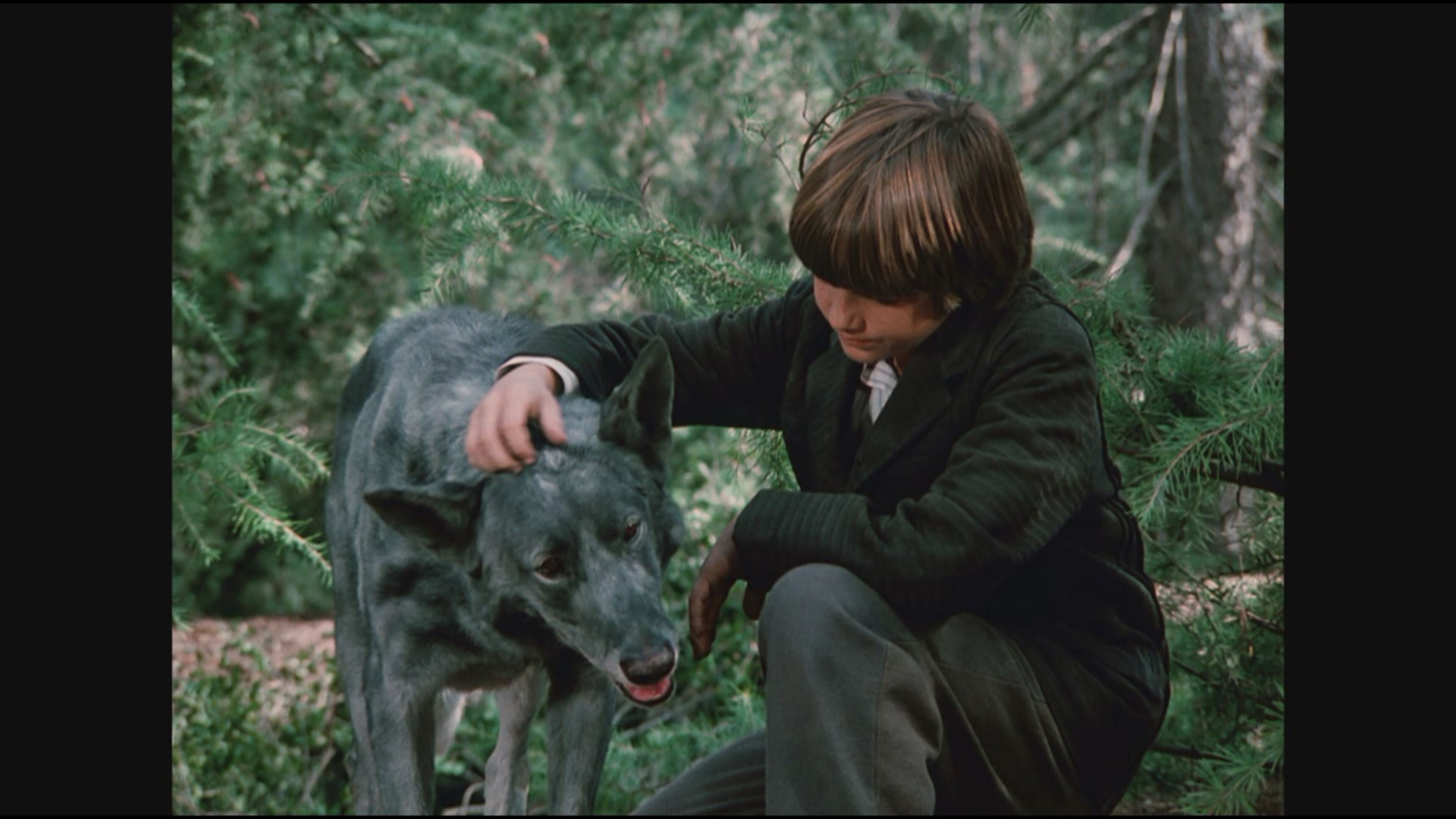 La casa nella prateria 8 - S8 Ep12 Un cane selvaggio