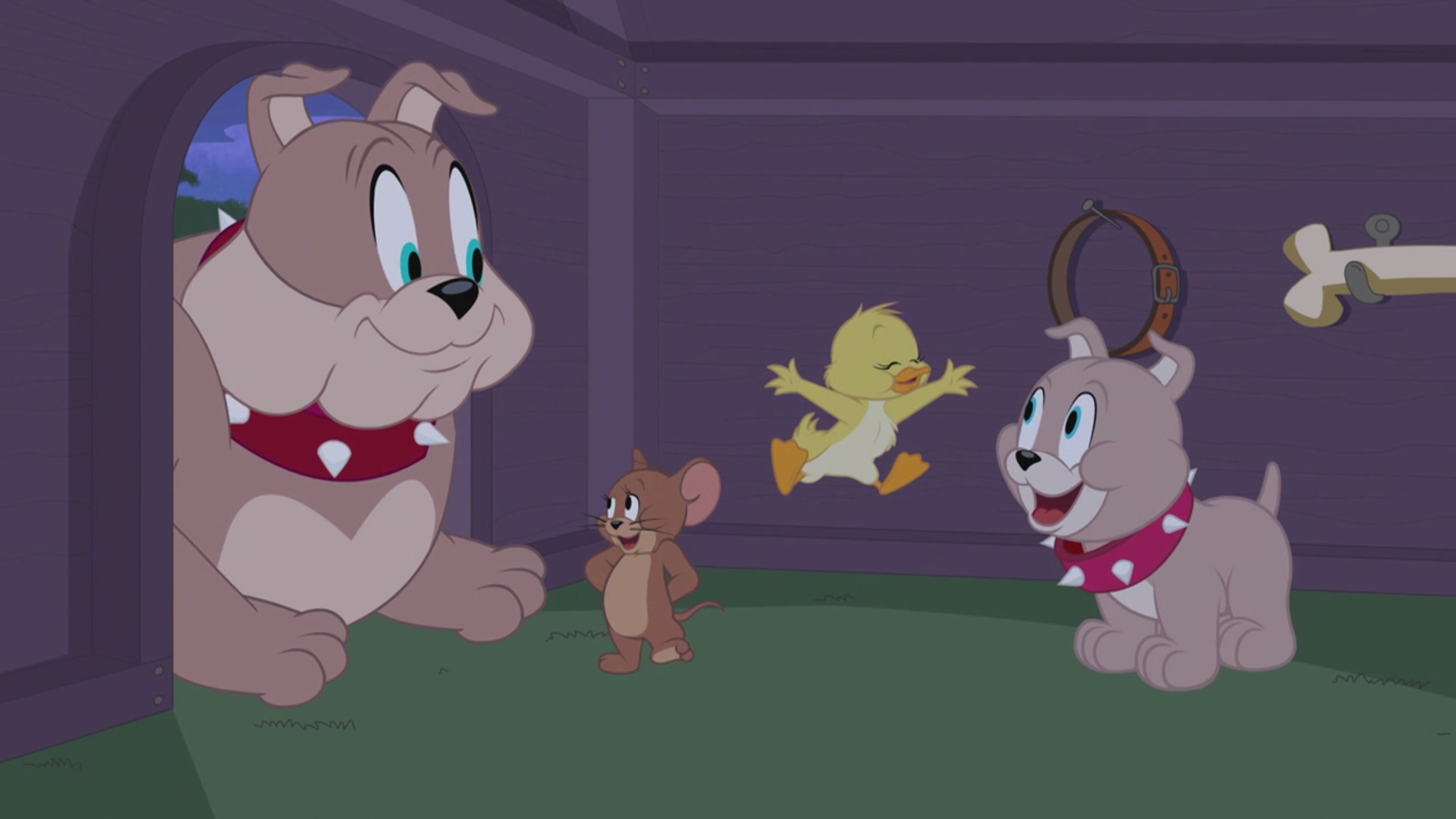 The Tom  Jerry Show - S1 Ep8