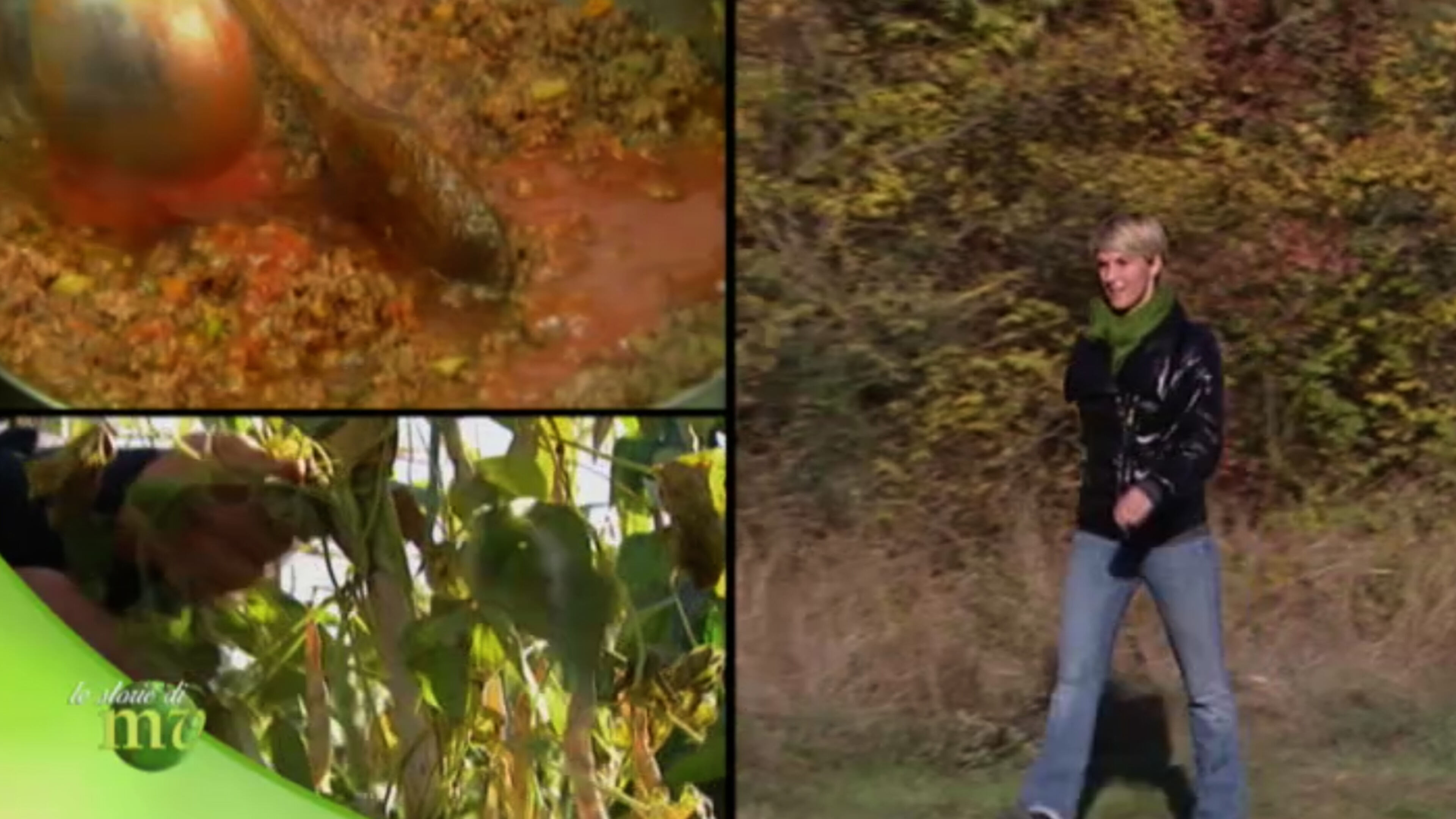 Melaverde - le storie