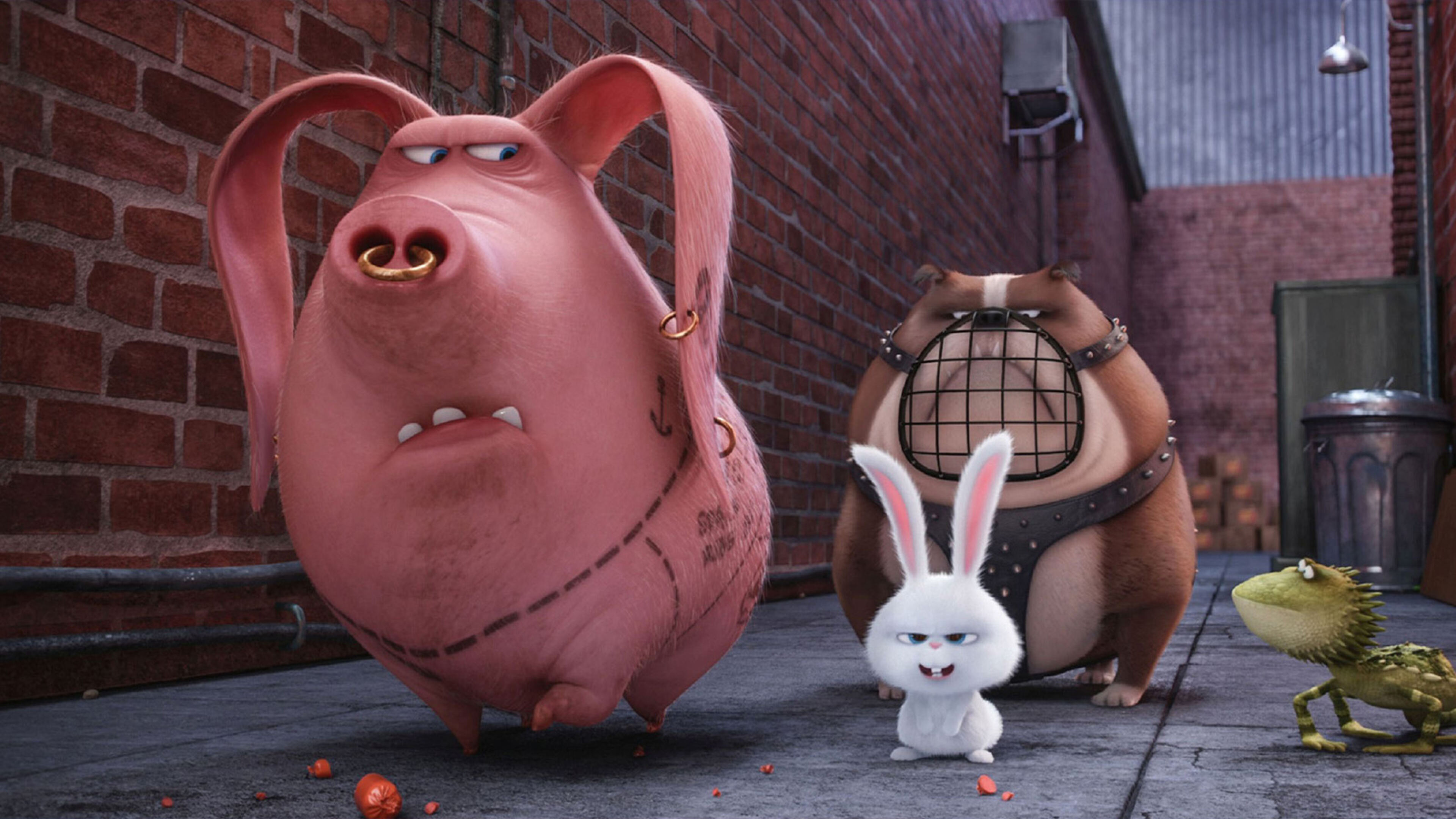 Pets - Vita da animali