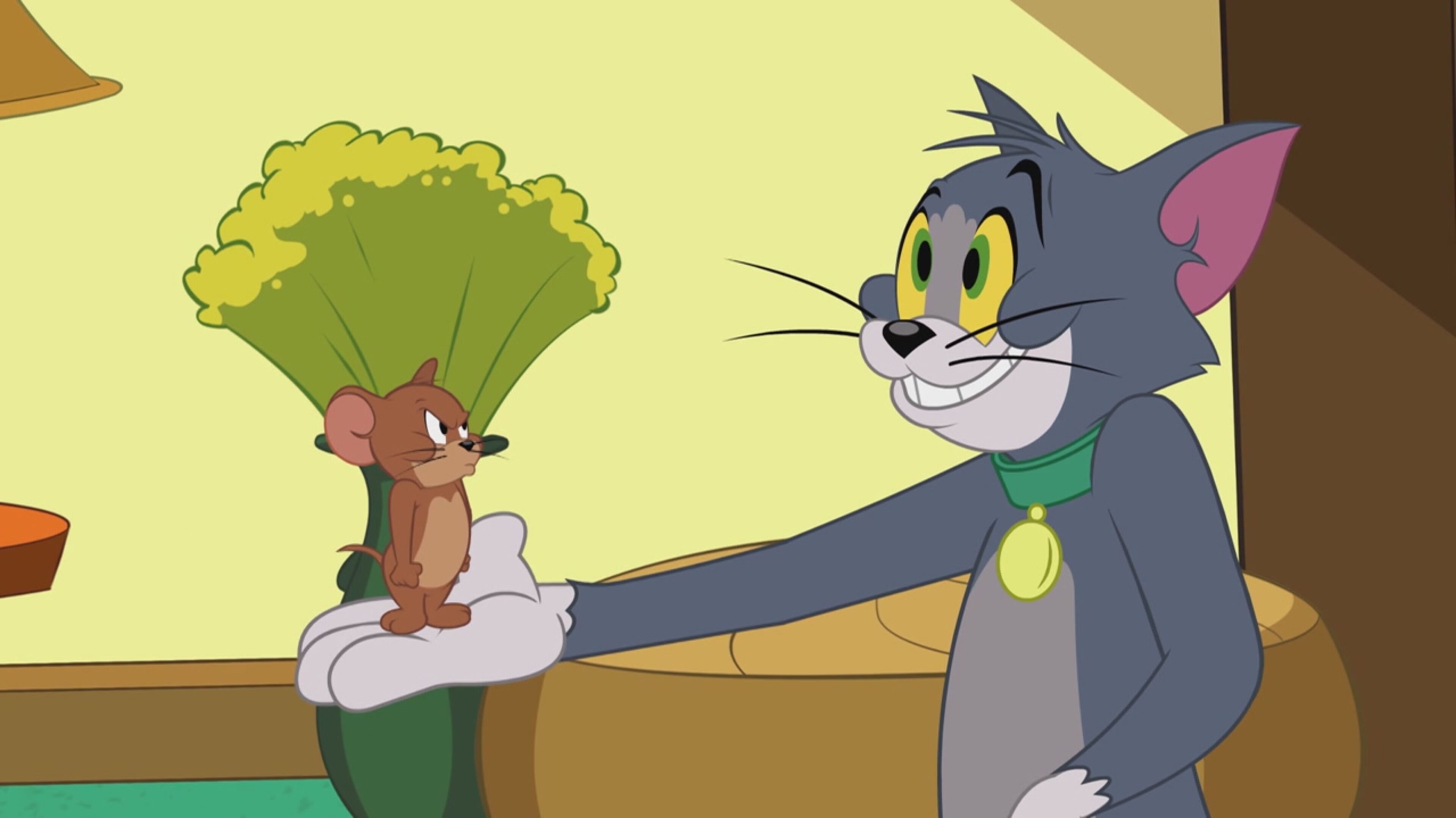 Tom Jerry Show - S3 Ep.8 - In vacanza dalla zia