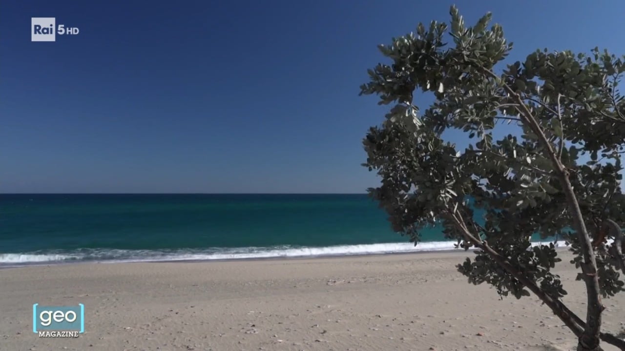 Geo Magazine del 19/08/2025 - Geo Magazine - 19/08/2025