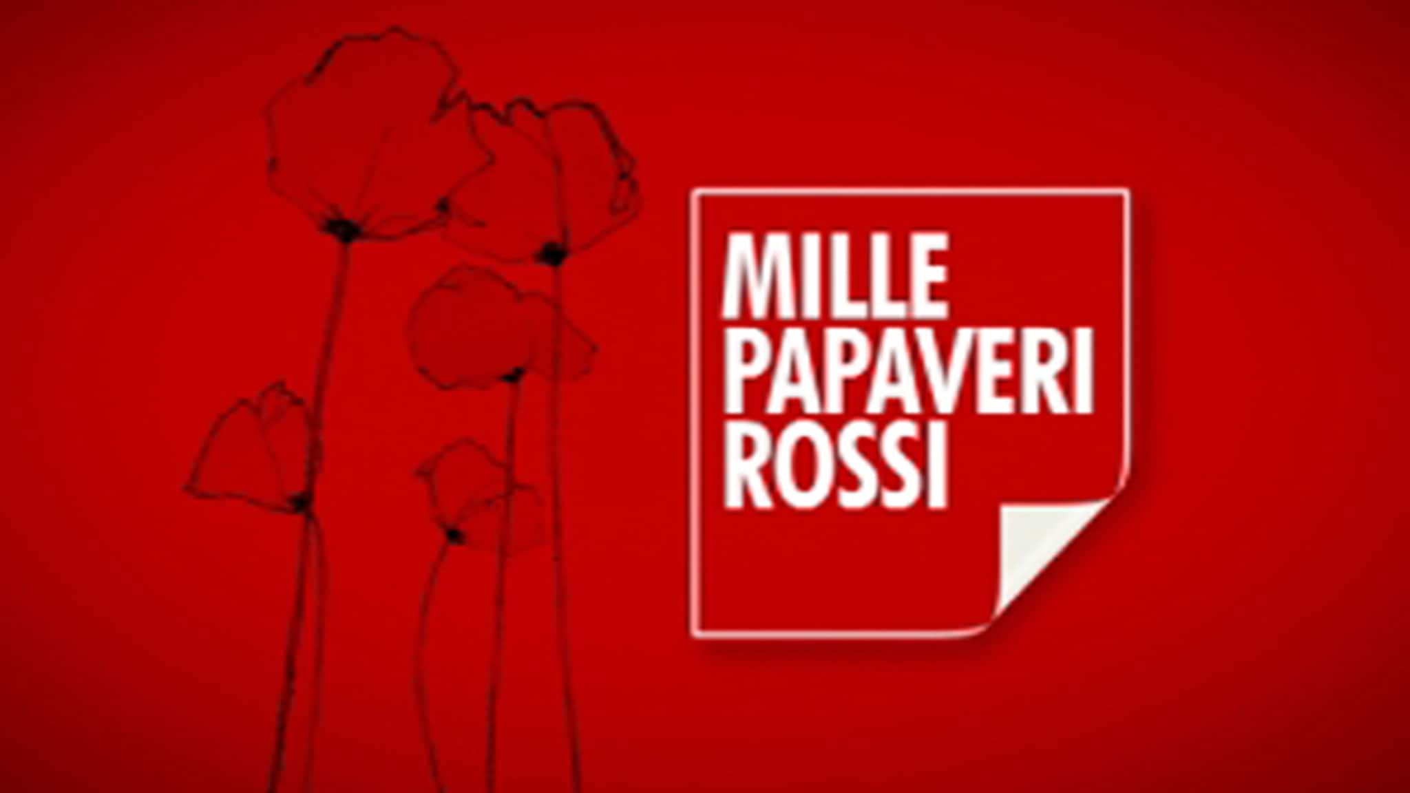 MILLE PAPAVERI ROSSI  Piccolo Re. Guerre e sentimenti