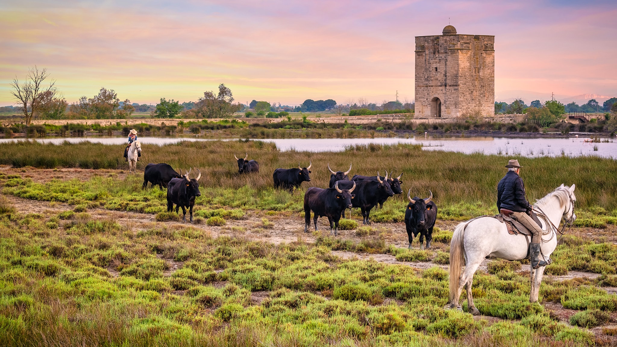 Camargue. Il regno d'acqua dolce