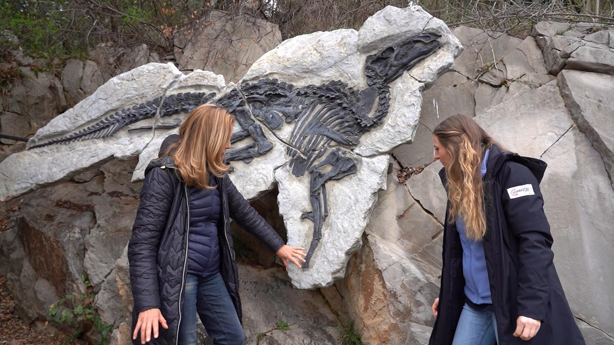 Ma davvero? - S1E4 - Dinosauri nella roccia