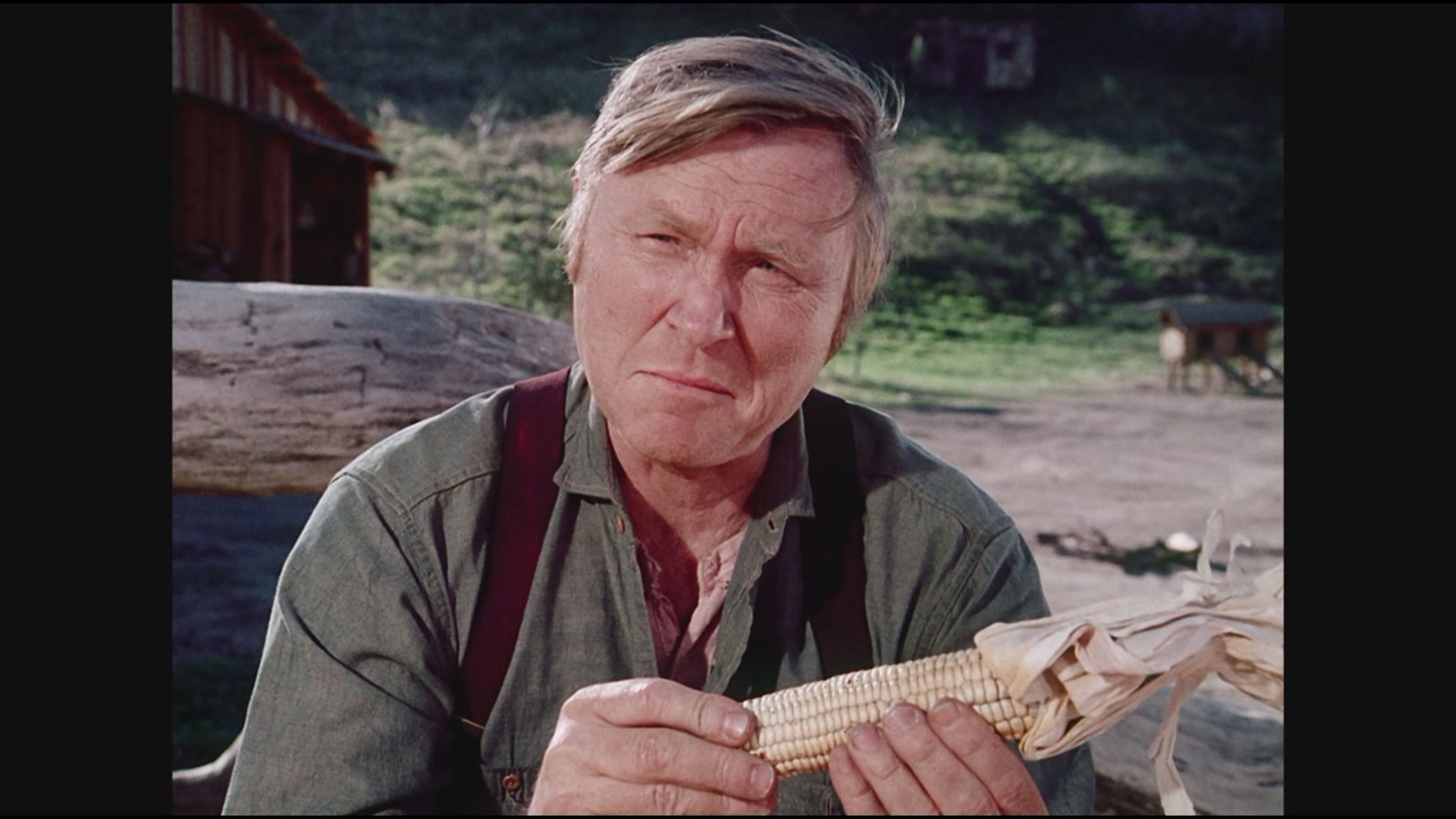 La casa nella prateria - L'agronomo