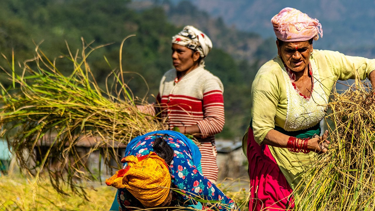 Il mondo con gli occhi di Overland - Un altro Nepal: giungla, spiritualità e tradizioni - 07/08/2025