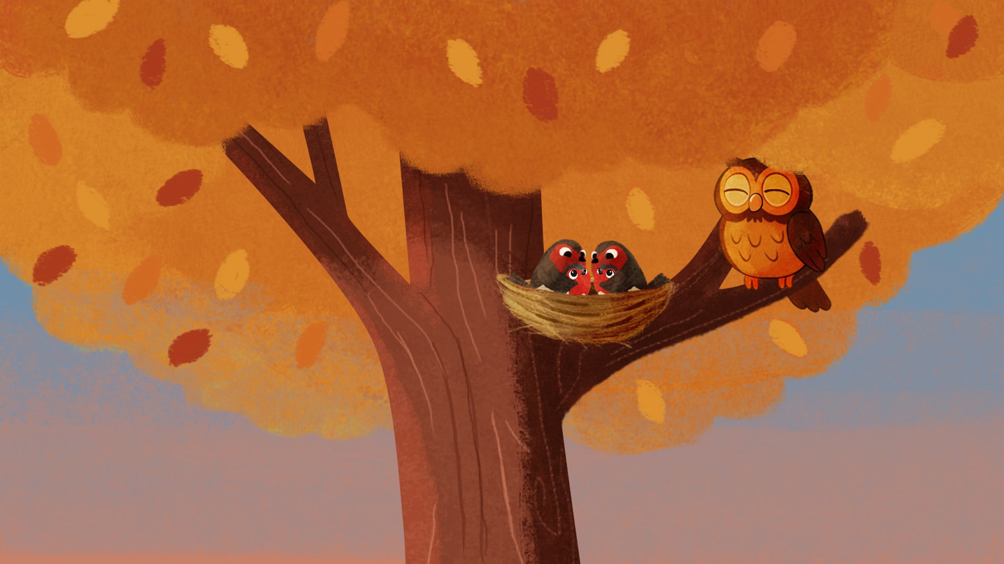 Buonanotte con Carolina - Storie e letterine - S1E7 - I pettirossi smarriti