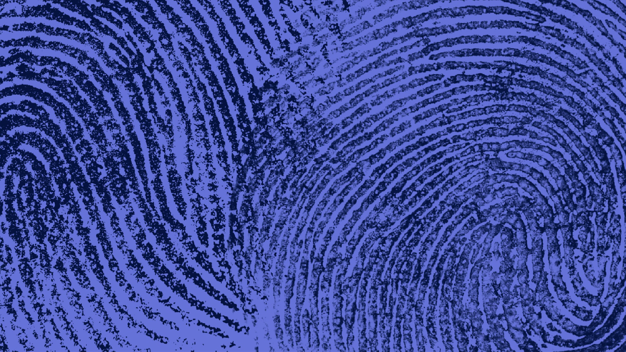 Tg2 Storie. I racconti della settimana - Puntata del 10/01/2026