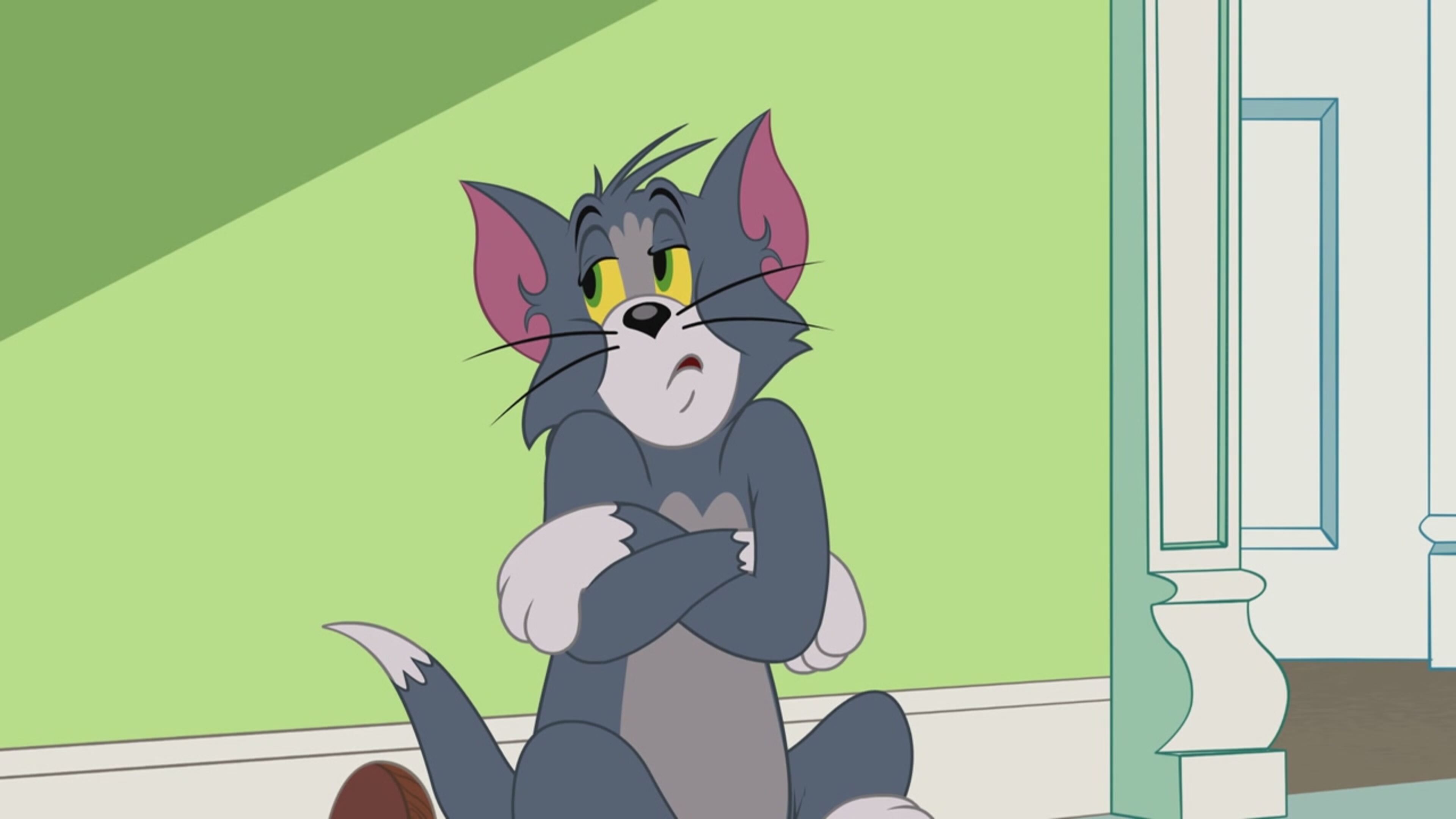 The Tom and Jerry Show - S3 Ep.50 - Guida pazza