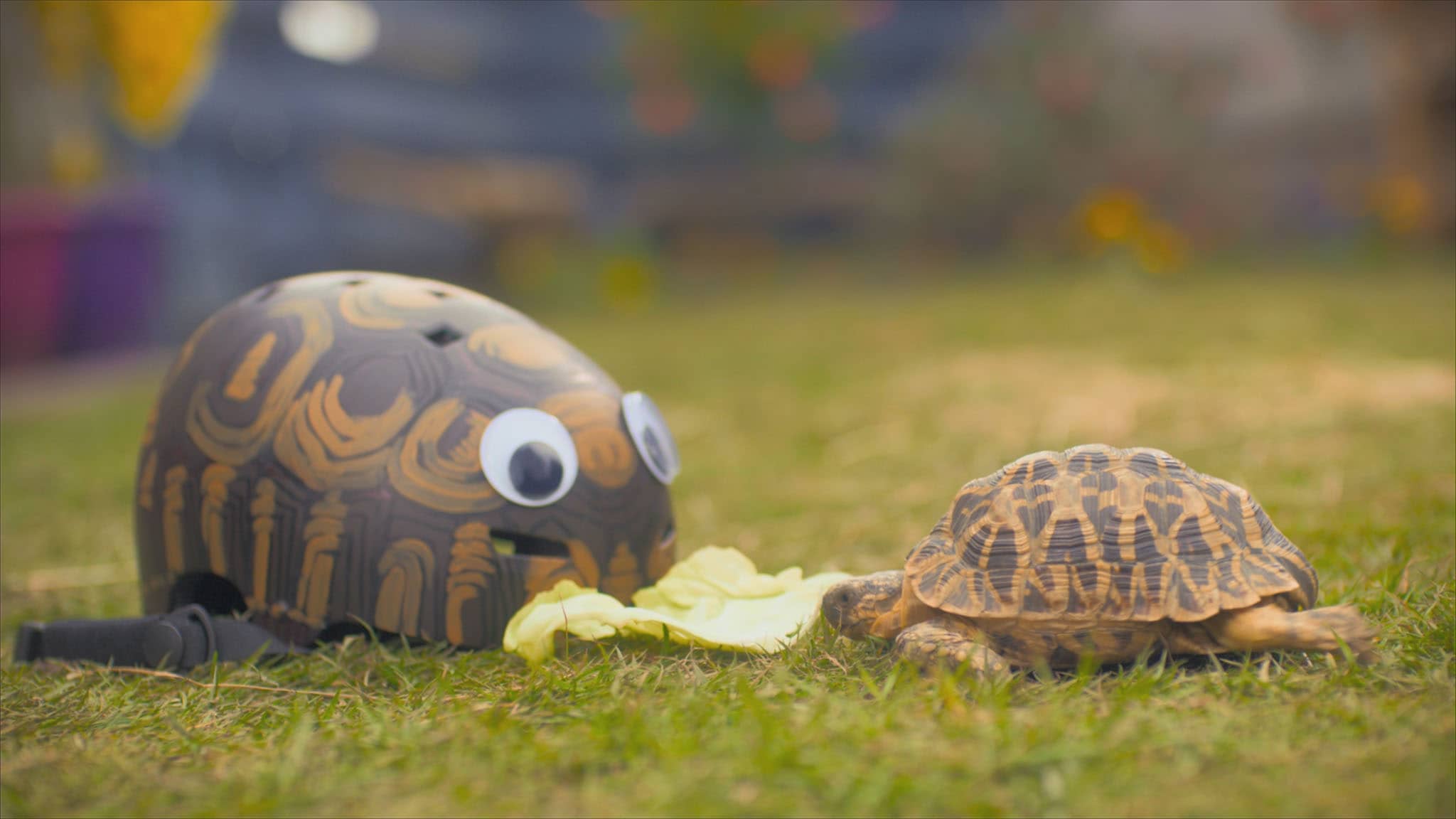 Olga da Polga - S1E4 - Bessy, il casco da bici