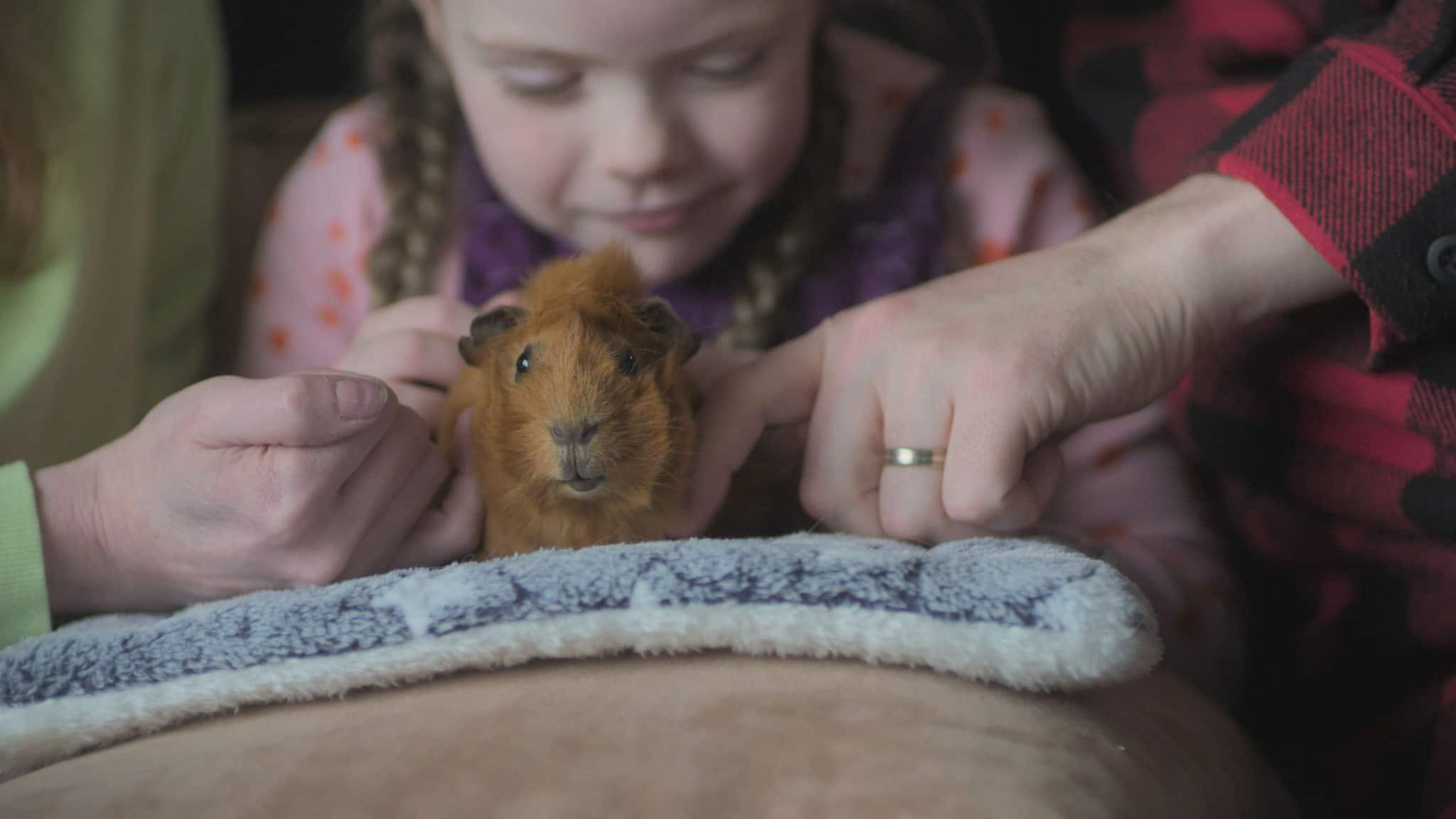 Olga da Polga - S1E8 - La danza della Fata Confetto