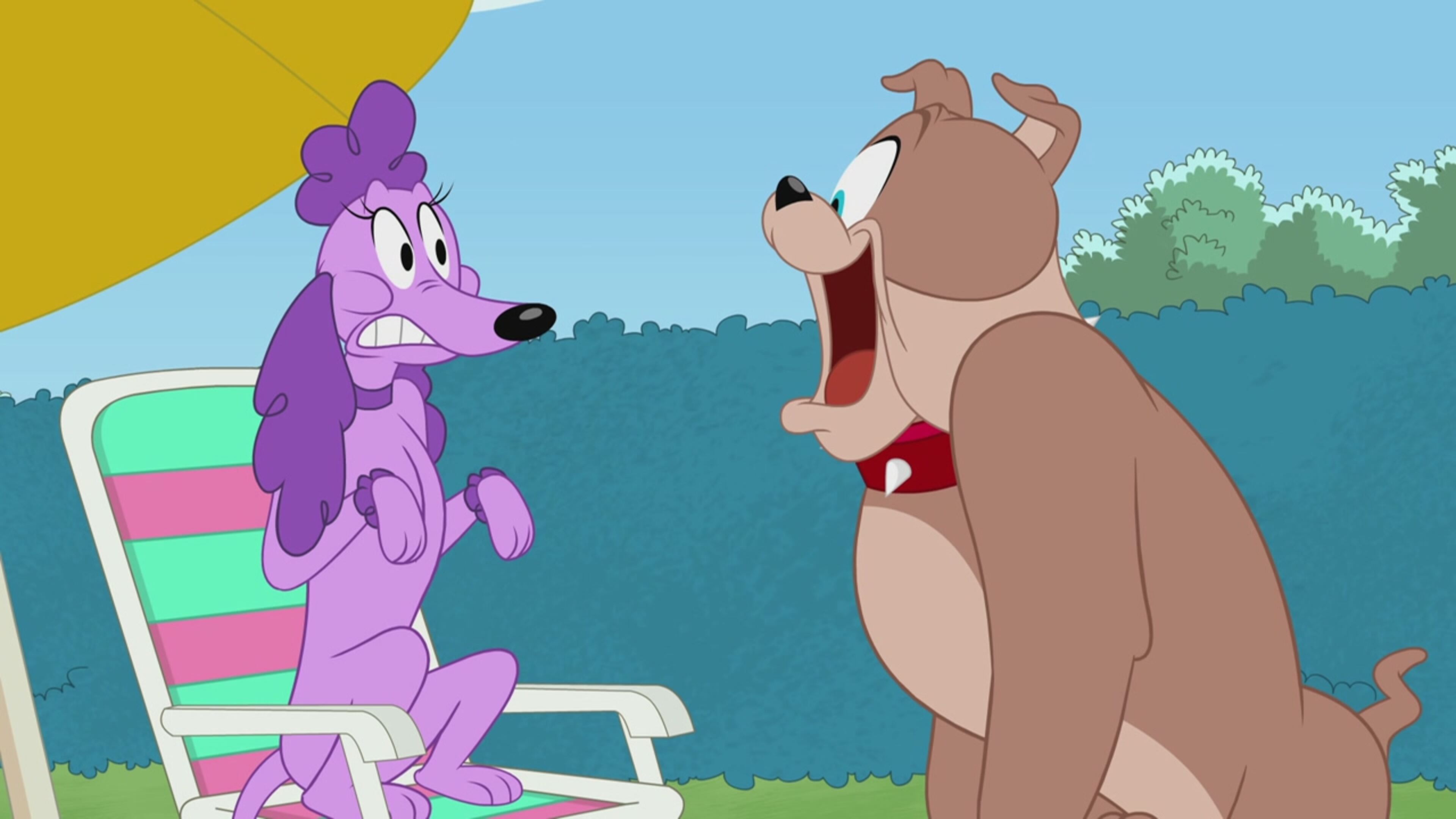 The Tom and Jerry Show - S3 Ep.73 - Gara di galanteria