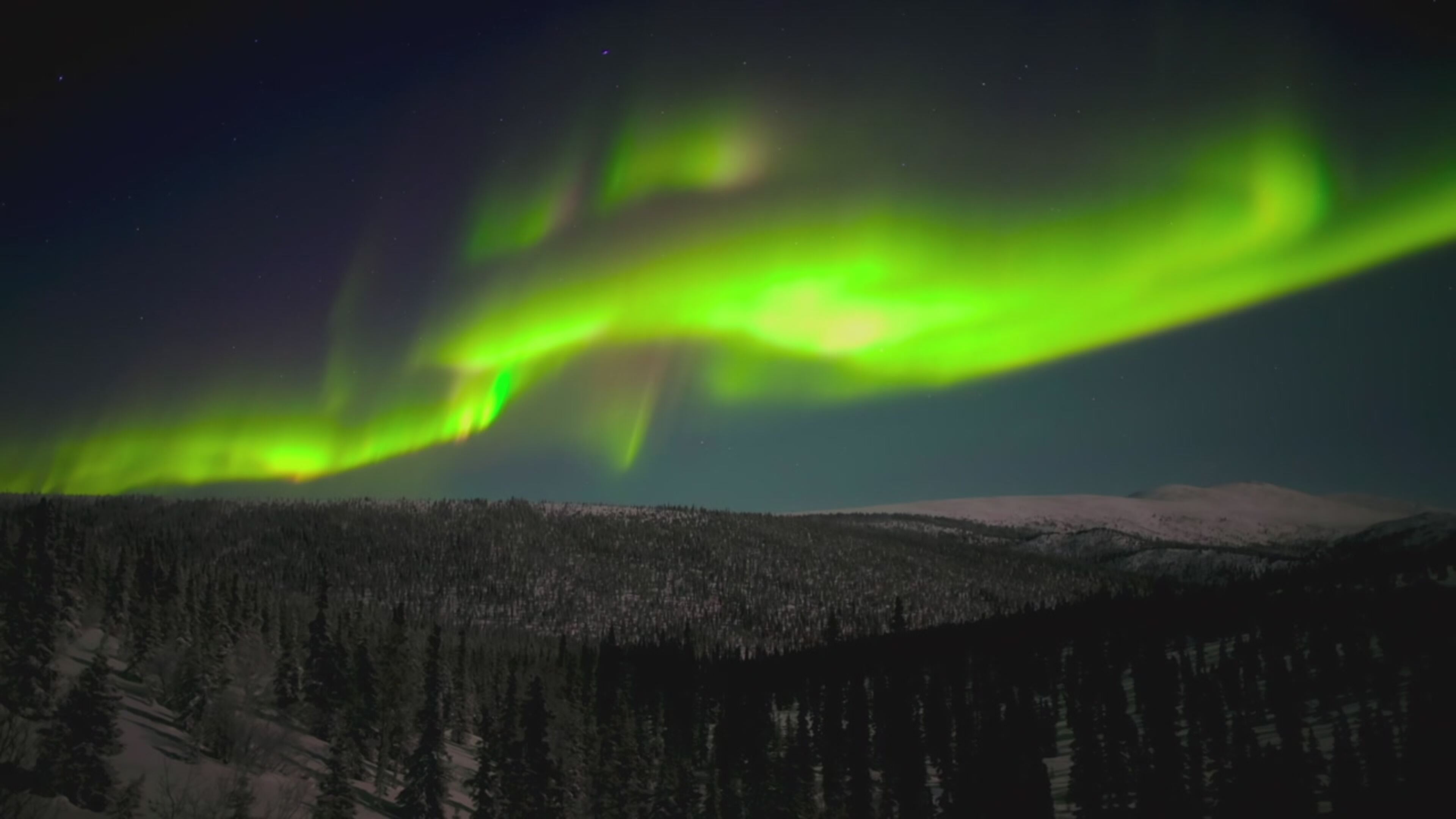 Eden pianeta selvaggio - S1 Ep6 Alaska: l'ultima frontiera americana