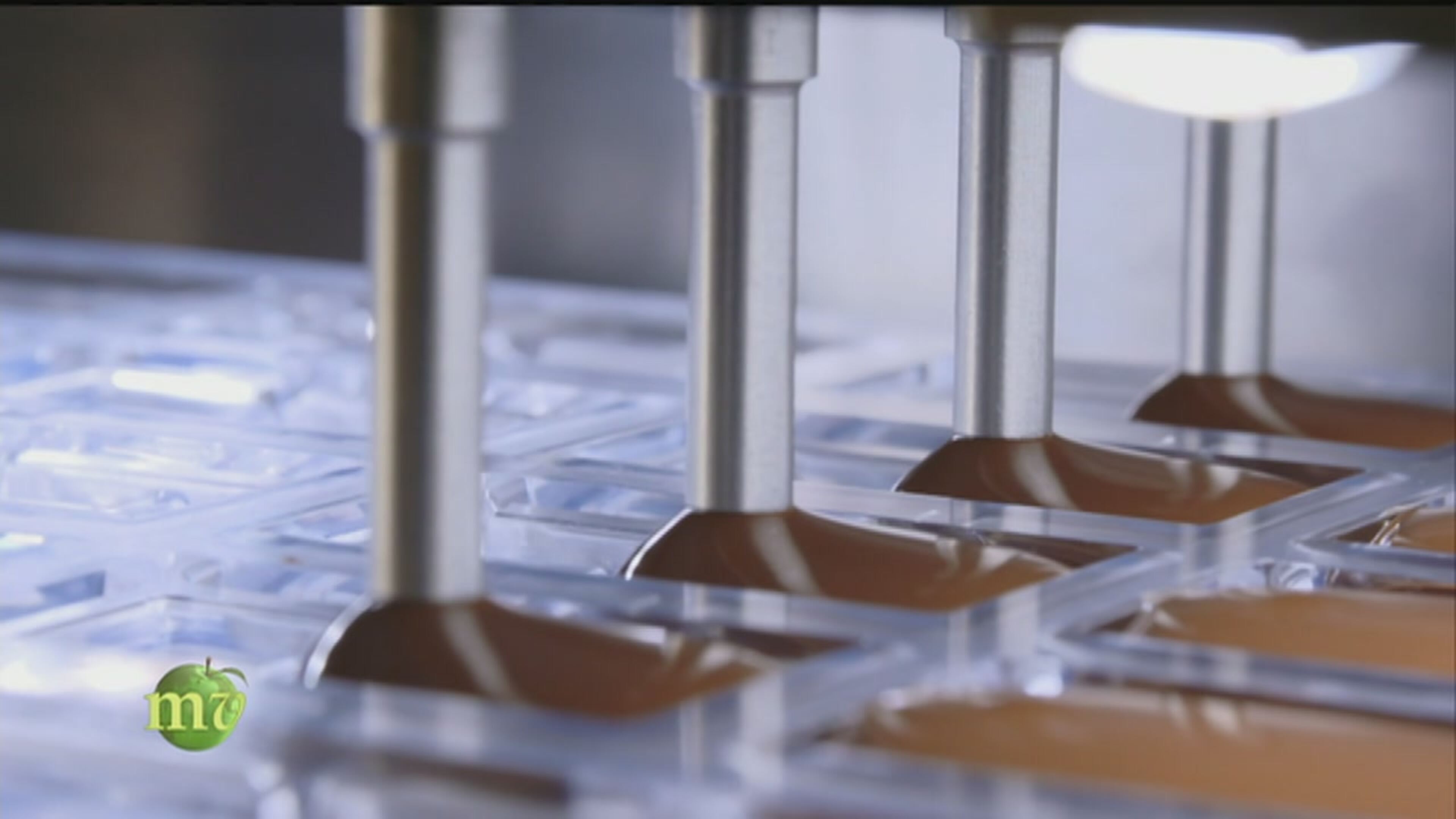 Melaverde - Condotto da Ellen Hidding, Edoardo Raspelli e Vincenzo Venuto