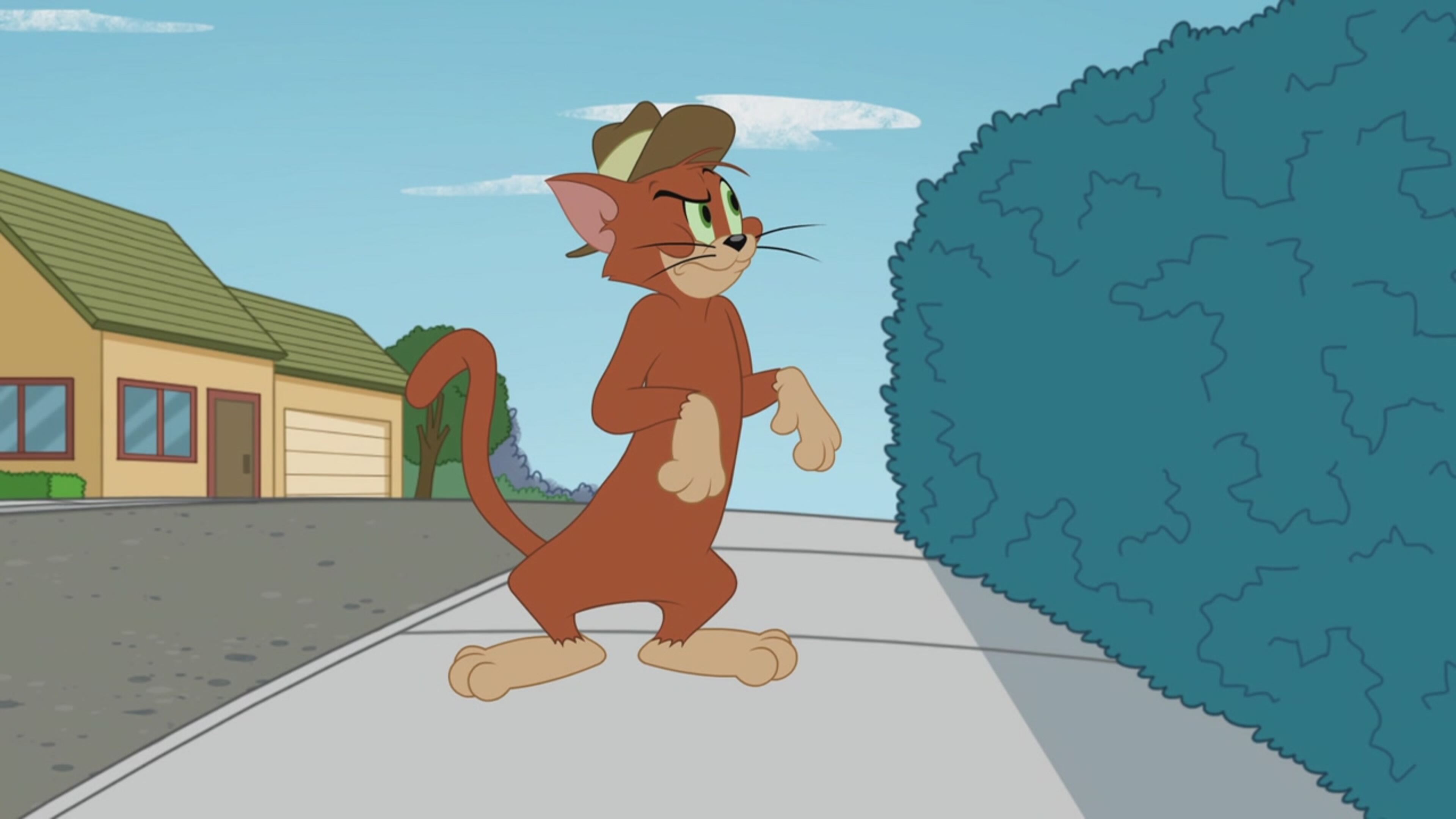 The Tom  Jerry Show - S1 Ep14